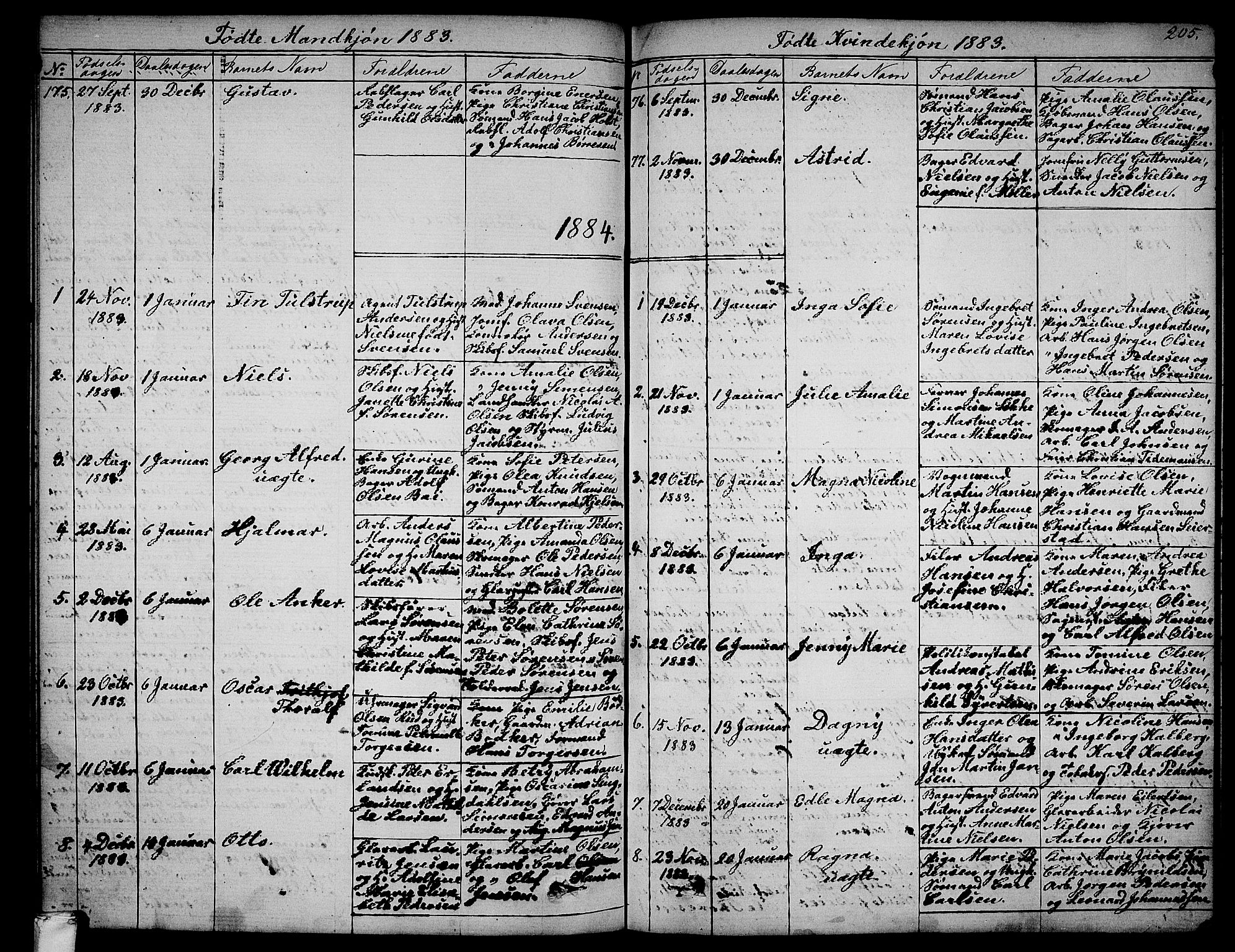 Larvik kirkebøker, AV/SAKO-A-352/G/Ga/L0004: Parish register (copy) no. I 4, 1871-1888, p. 205