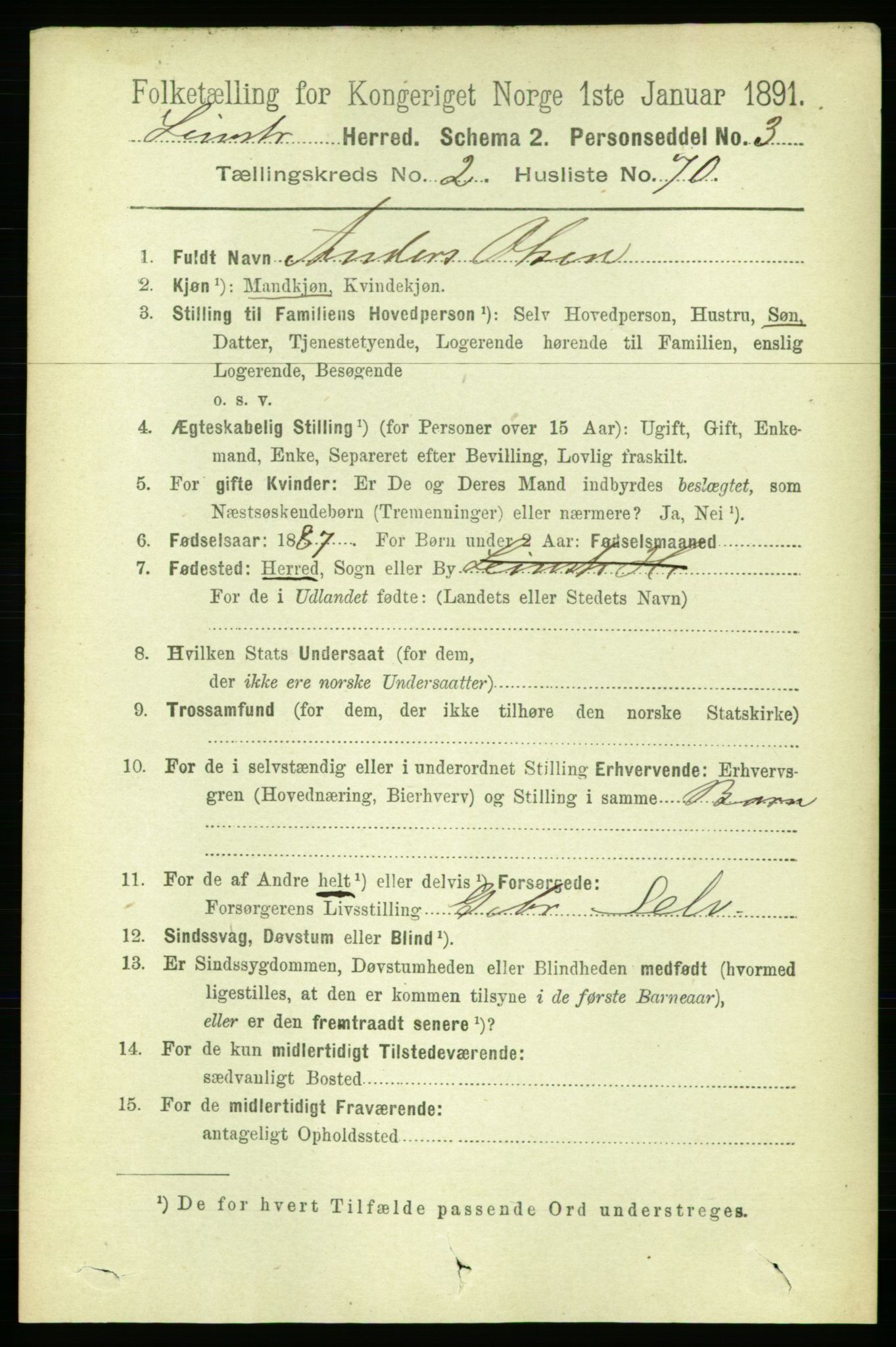 RA, 1891 census for 1654 Leinstrand, 1891, p. 919