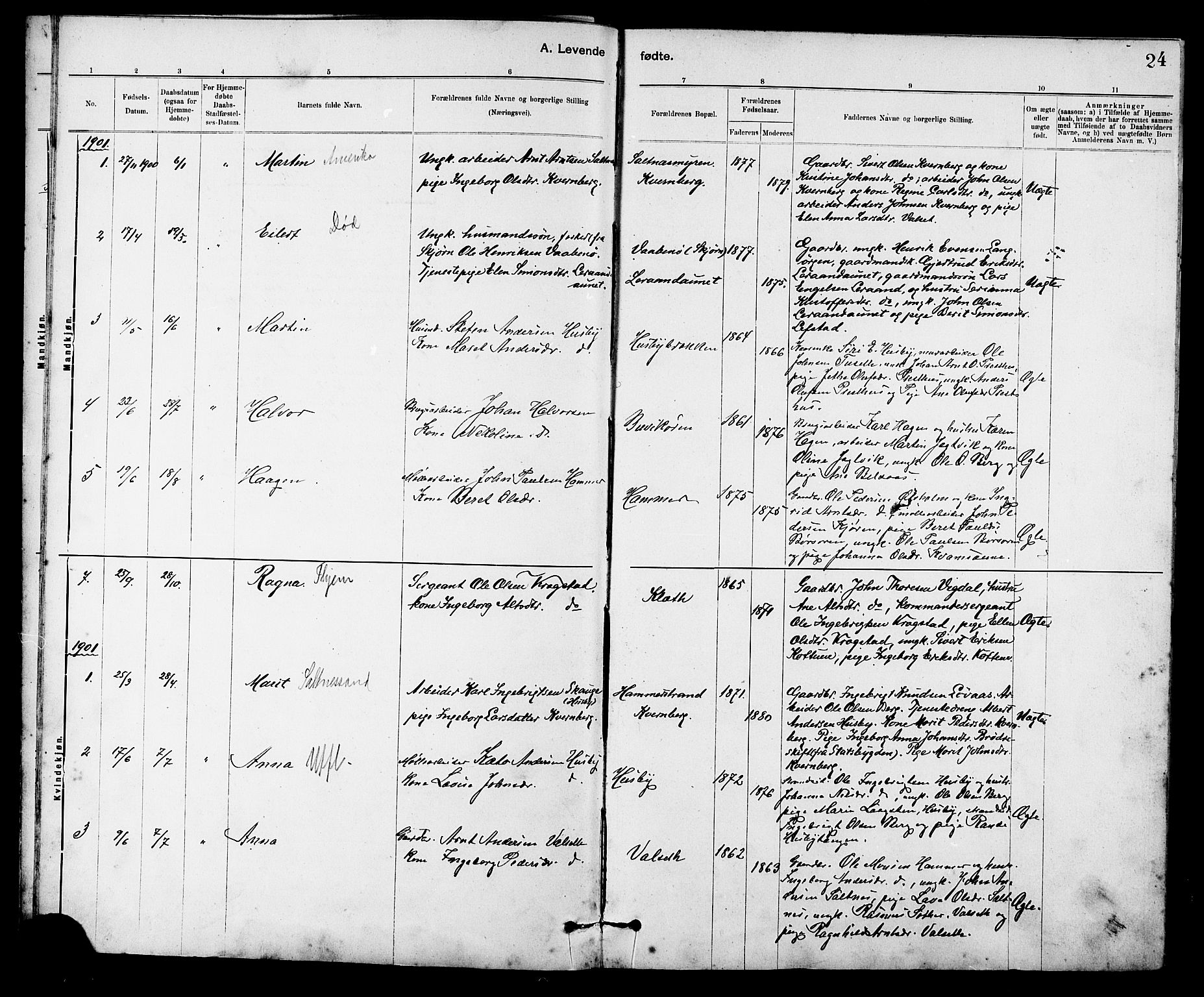 Ministerialprotokoller, klokkerbøker og fødselsregistre - Sør-Trøndelag, SAT/A-1456/666/L0790: Parish register (copy) no. 666C03, 1885-1908, p. 24