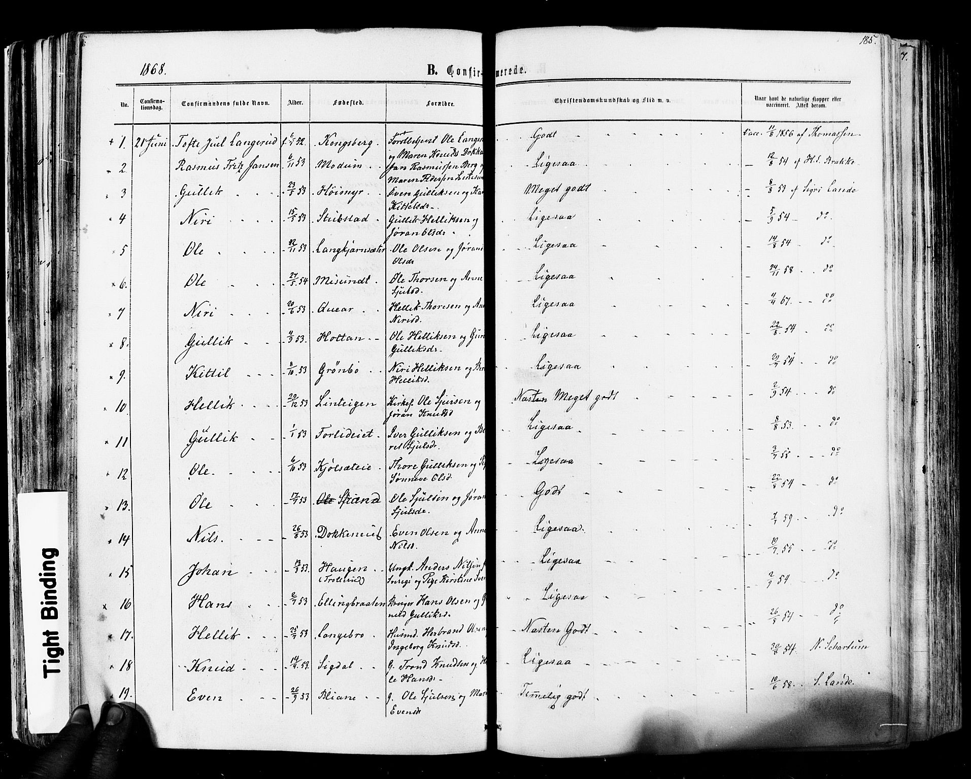 Flesberg kirkebøker, AV/SAKO-A-18/F/Fa/L0007: Parish register (official) no. I 7, 1861-1878, p. 185