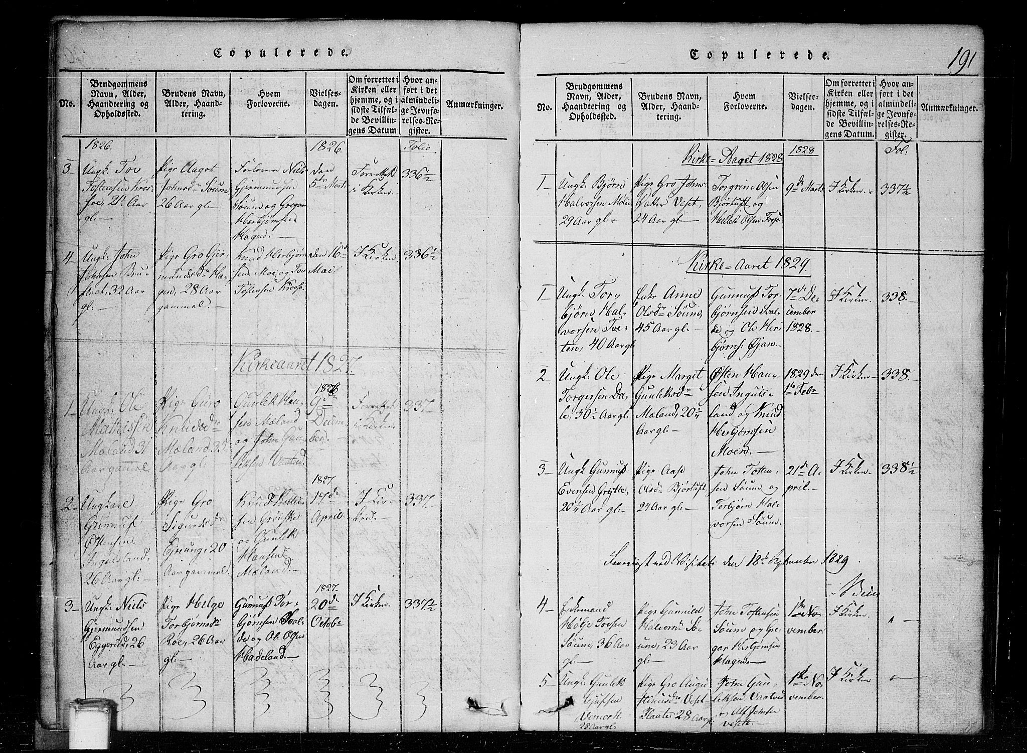 Tinn kirkebøker, SAKO/A-308/G/Gc/L0001: Parish register (copy) no. III 1, 1815-1879, p. 191