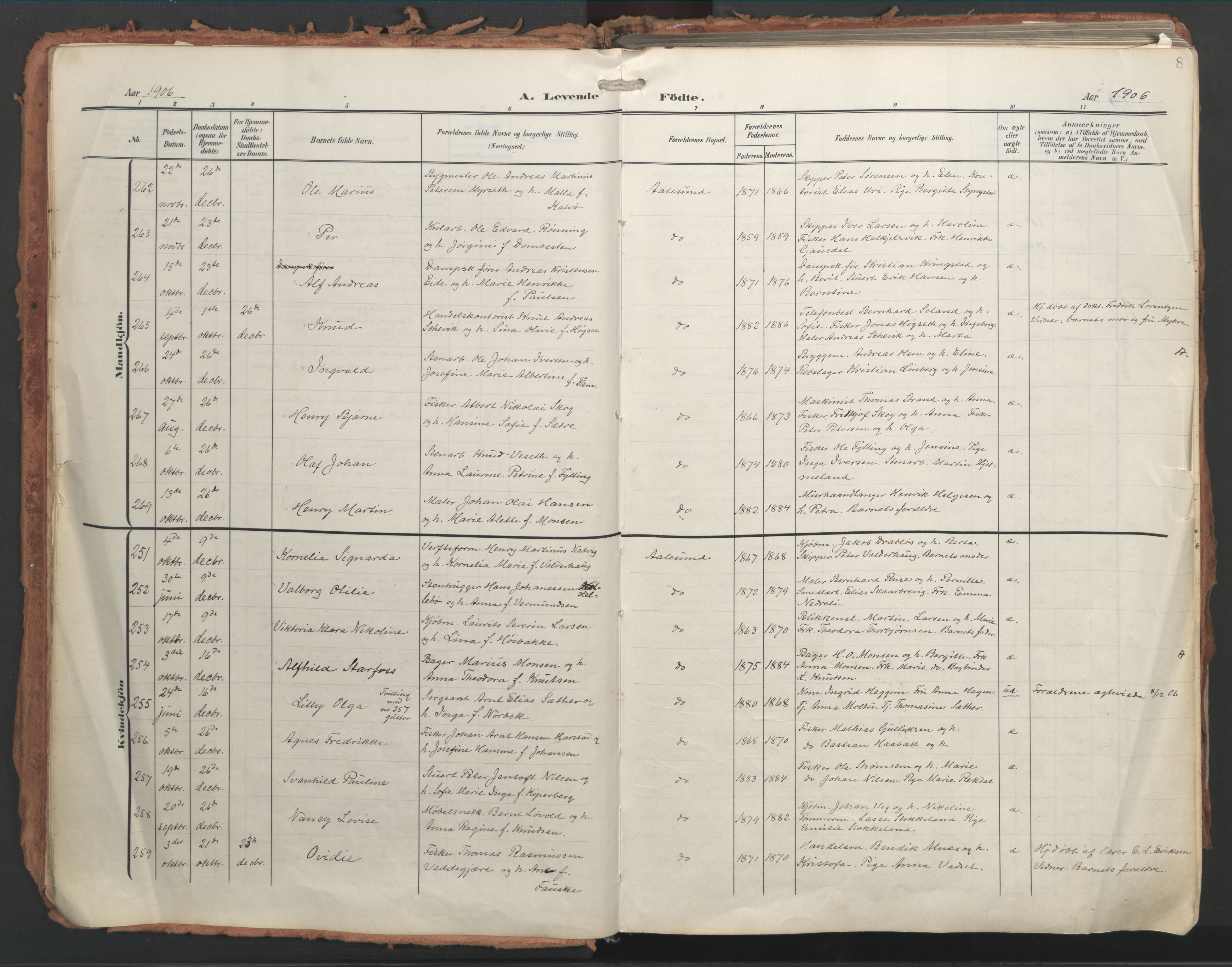 Ministerialprotokoller, klokkerbøker og fødselsregistre - Møre og Romsdal, AV/SAT-A-1454/529/L0460: Parish register (official) no. 529A10, 1906-1917, p. 8