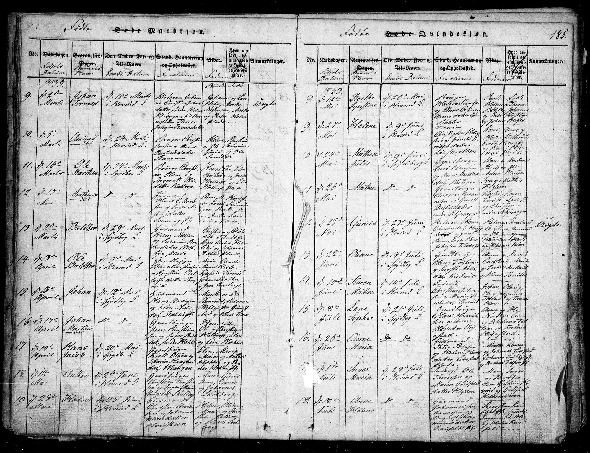 Spydeberg prestekontor Kirkebøker, AV/SAO-A-10924/G/Ga/L0001: Parish register (copy) no. I 1, 1814-1868, p. 185