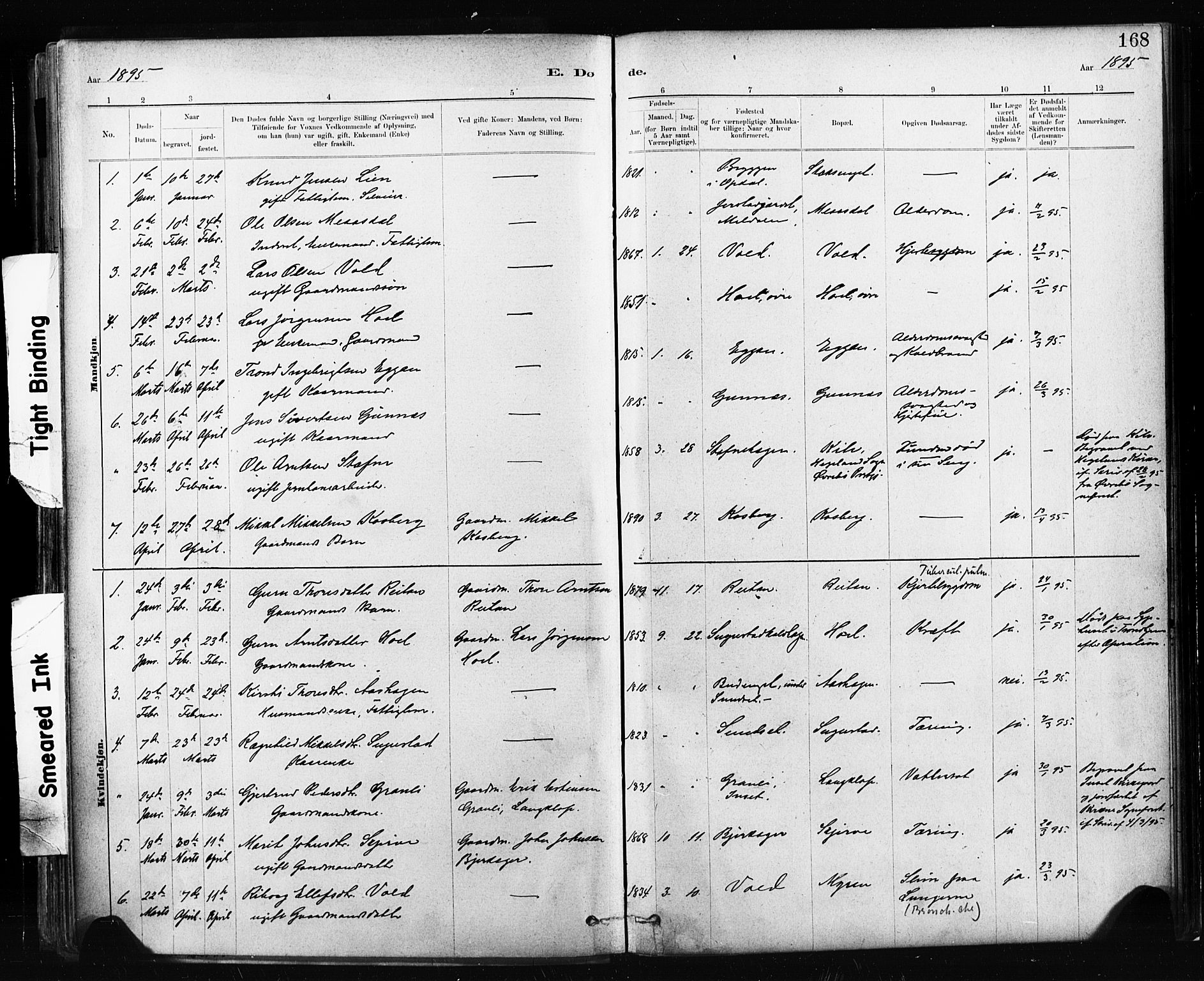 Ministerialprotokoller, klokkerbøker og fødselsregistre - Sør-Trøndelag, AV/SAT-A-1456/674/L0871: Parish register (official) no. 674A03, 1880-1896, p. 168