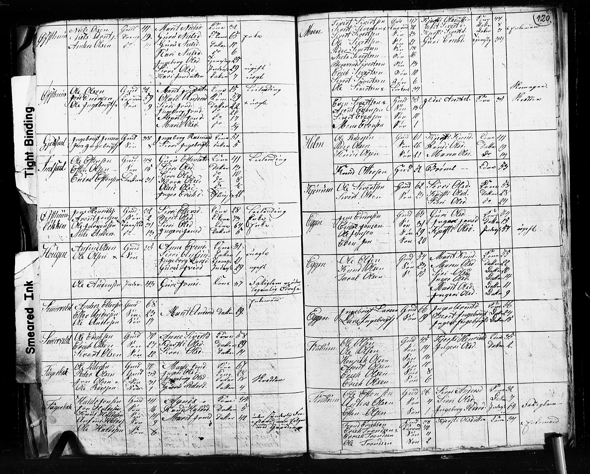 , 1825 Census for Støren parish, 1825, p. 120