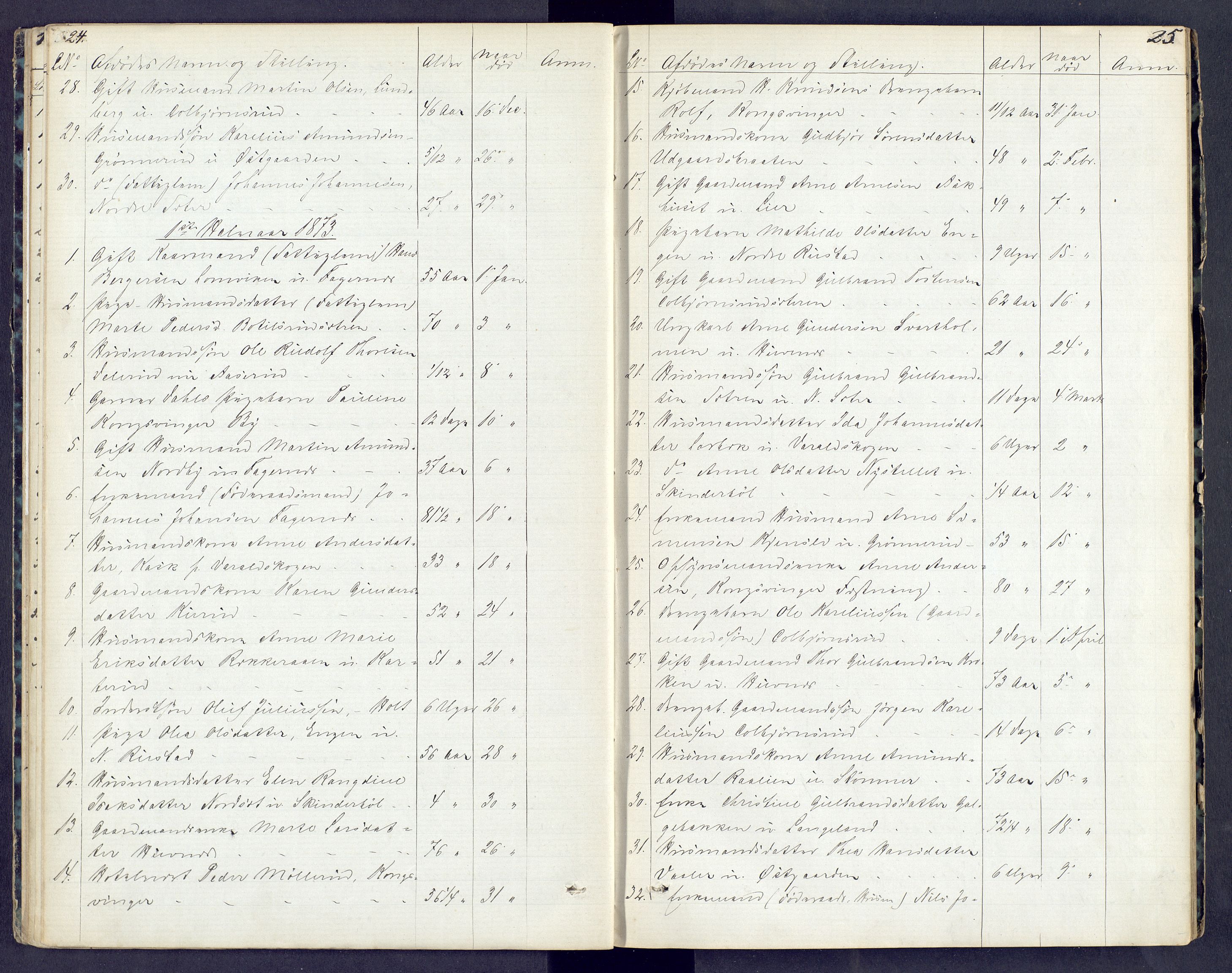 Vinger og Odal sorenskriveri, AV/SAH-TING-022/J/Jf/L0003: Dødsfallsprotokoll - Vinger og Eidskog, 1867-1881, p. 24-25