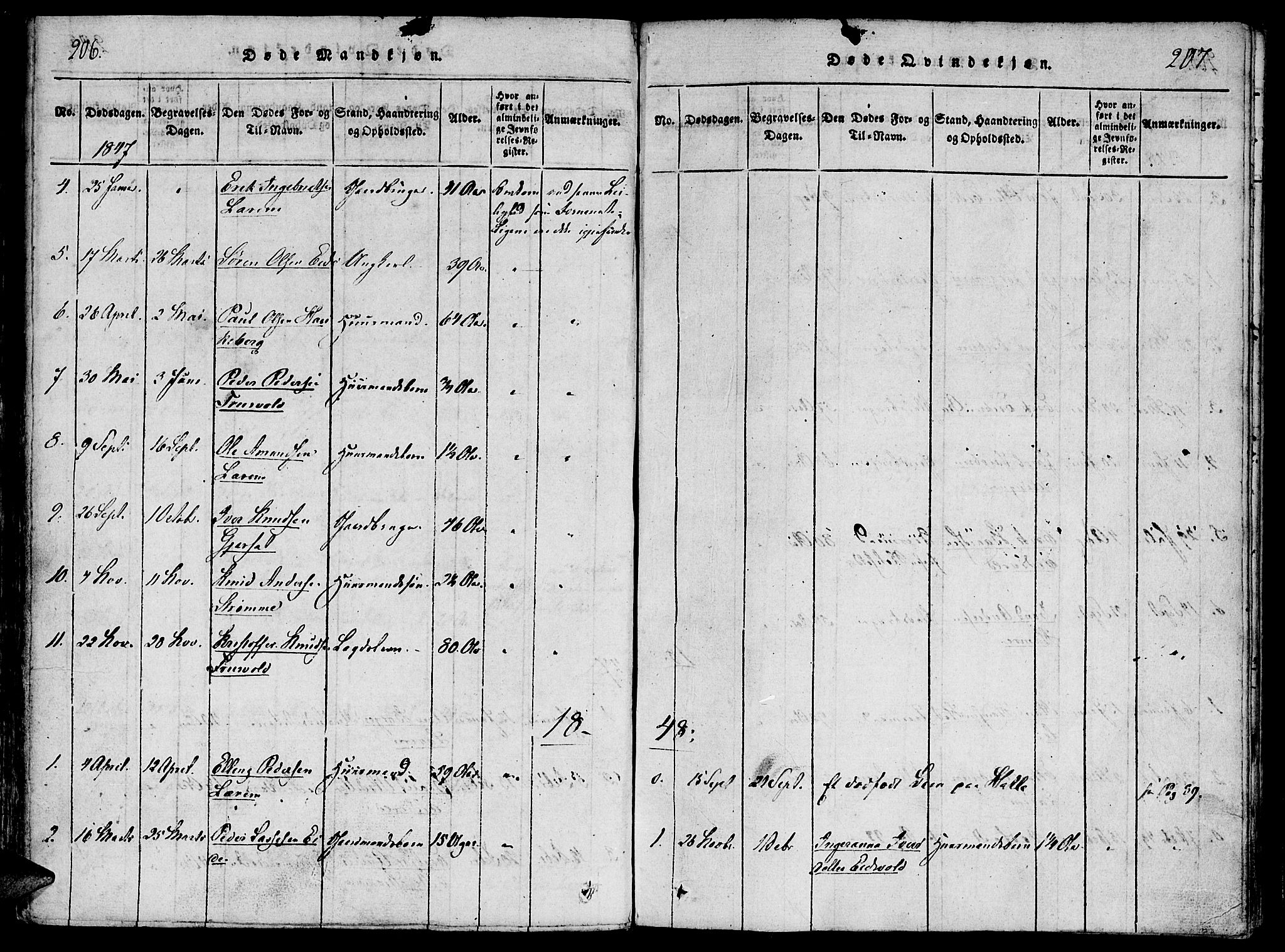 Ministerialprotokoller, klokkerbøker og fødselsregistre - Møre og Romsdal, SAT/A-1454/542/L0551: Parish register (official) no. 542A01, 1818-1853, p. 206-207