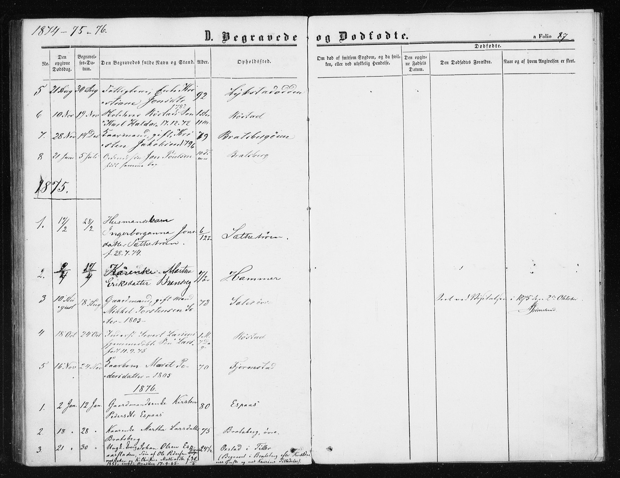 Ministerialprotokoller, klokkerbøker og fødselsregistre - Sør-Trøndelag, SAT/A-1456/608/L0333: Parish register (official) no. 608A02, 1862-1876, p. 87