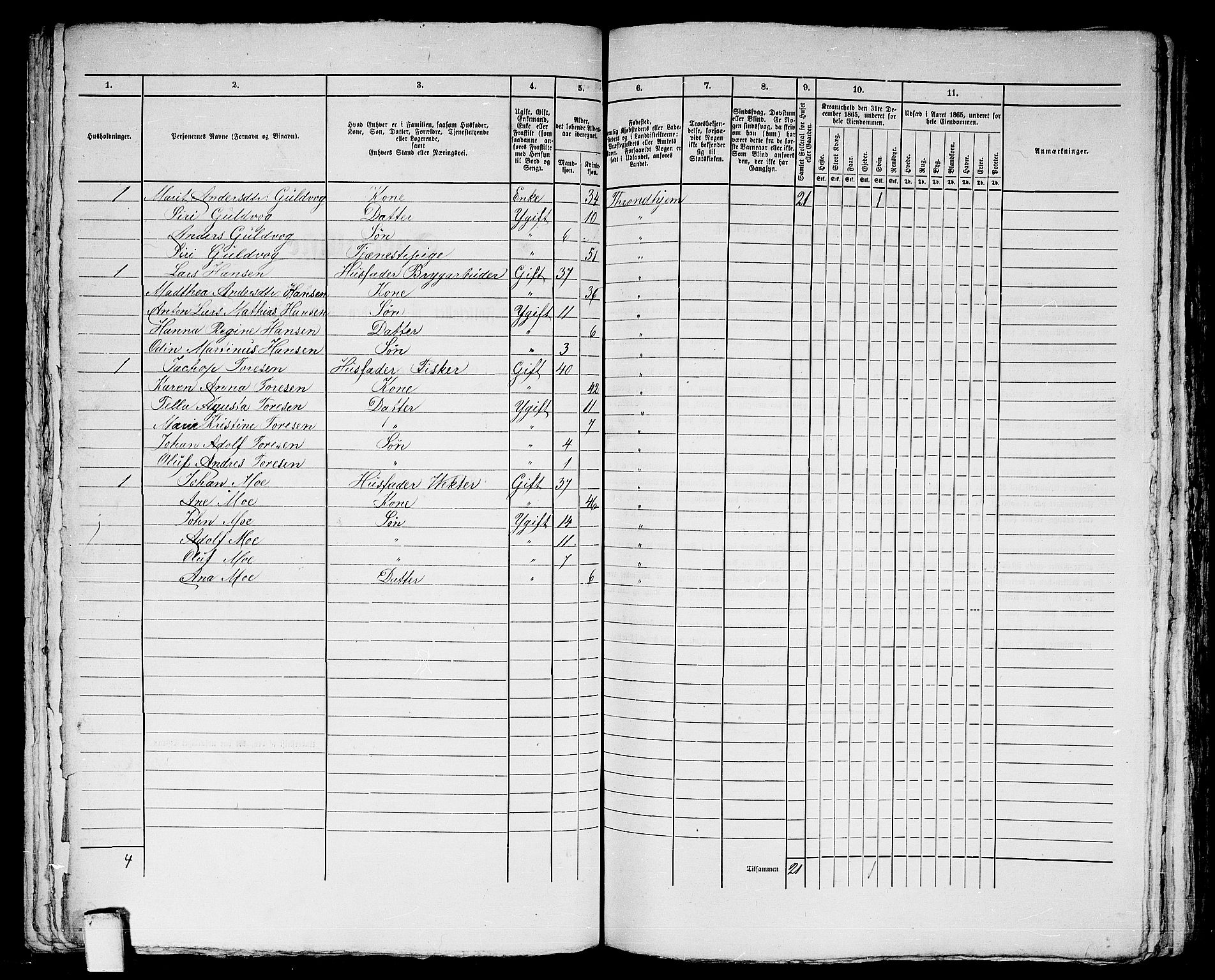 RA, 1865 census for Trondheim, 1865, p. 738