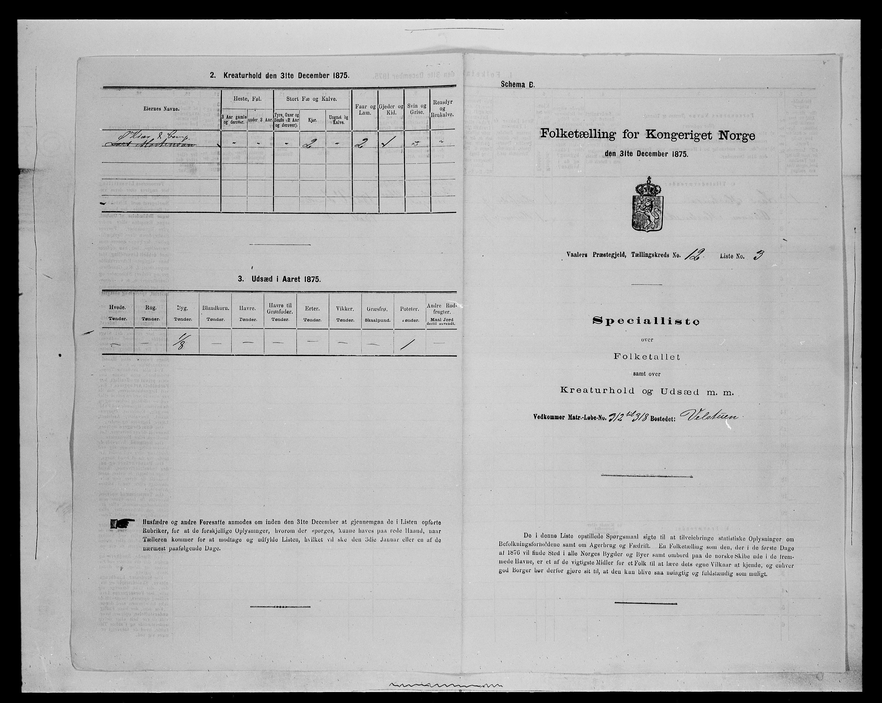 SAH, 1875 census for 0426P Våler parish (Hedmark), 1875, p. 1369