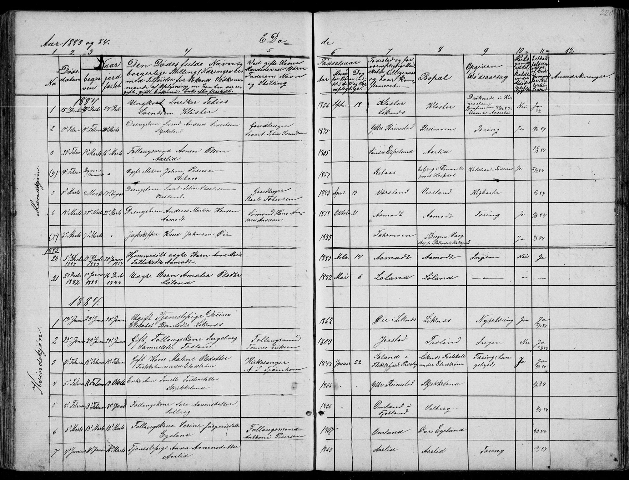 Kvinesdal sokneprestkontor, AV/SAK-1111-0026/F/Fb/Fbb/L0002: Parish register (copy) no. B 2, 1873-1897, p. 220