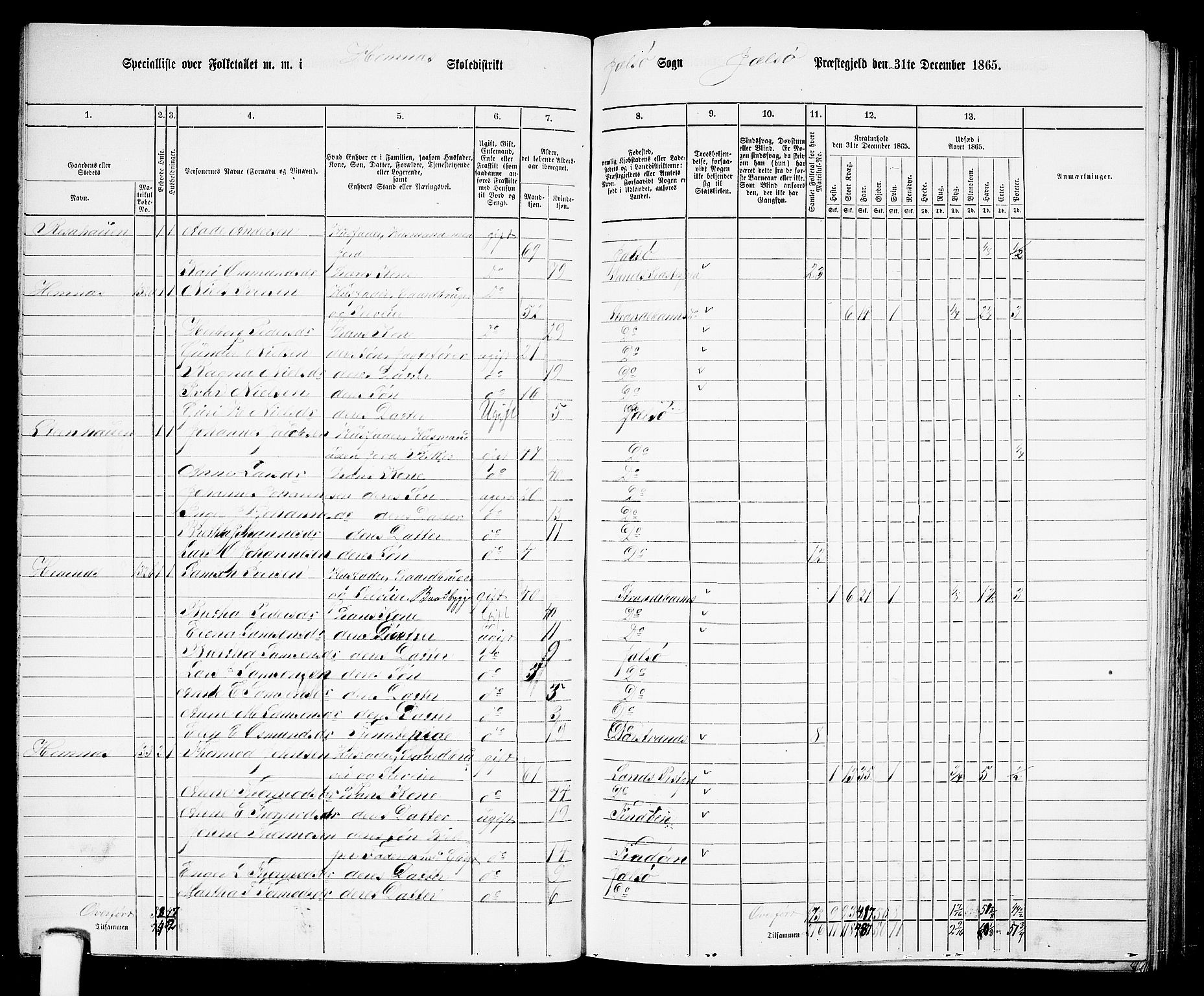 RA, 1865 census for Jelsa, 1865, p. 51