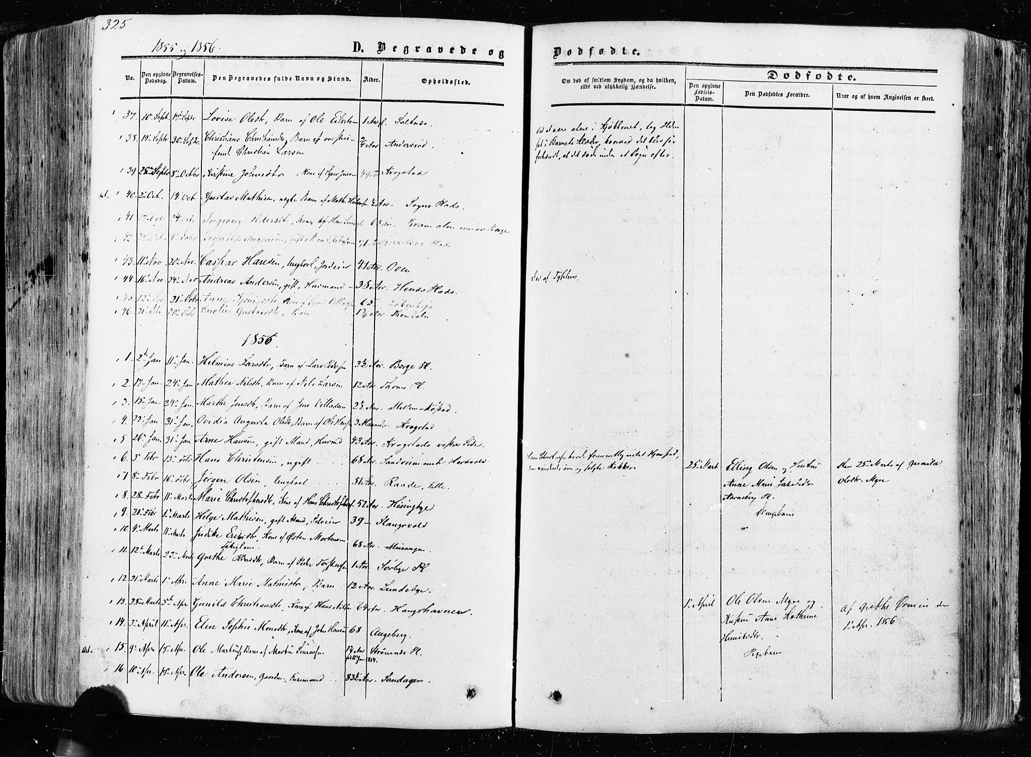 Råde prestekontor kirkebøker, AV/SAO-A-2009/F/Fa/L0006: Parish register (official) no. 6, 1854-1877, p. 325