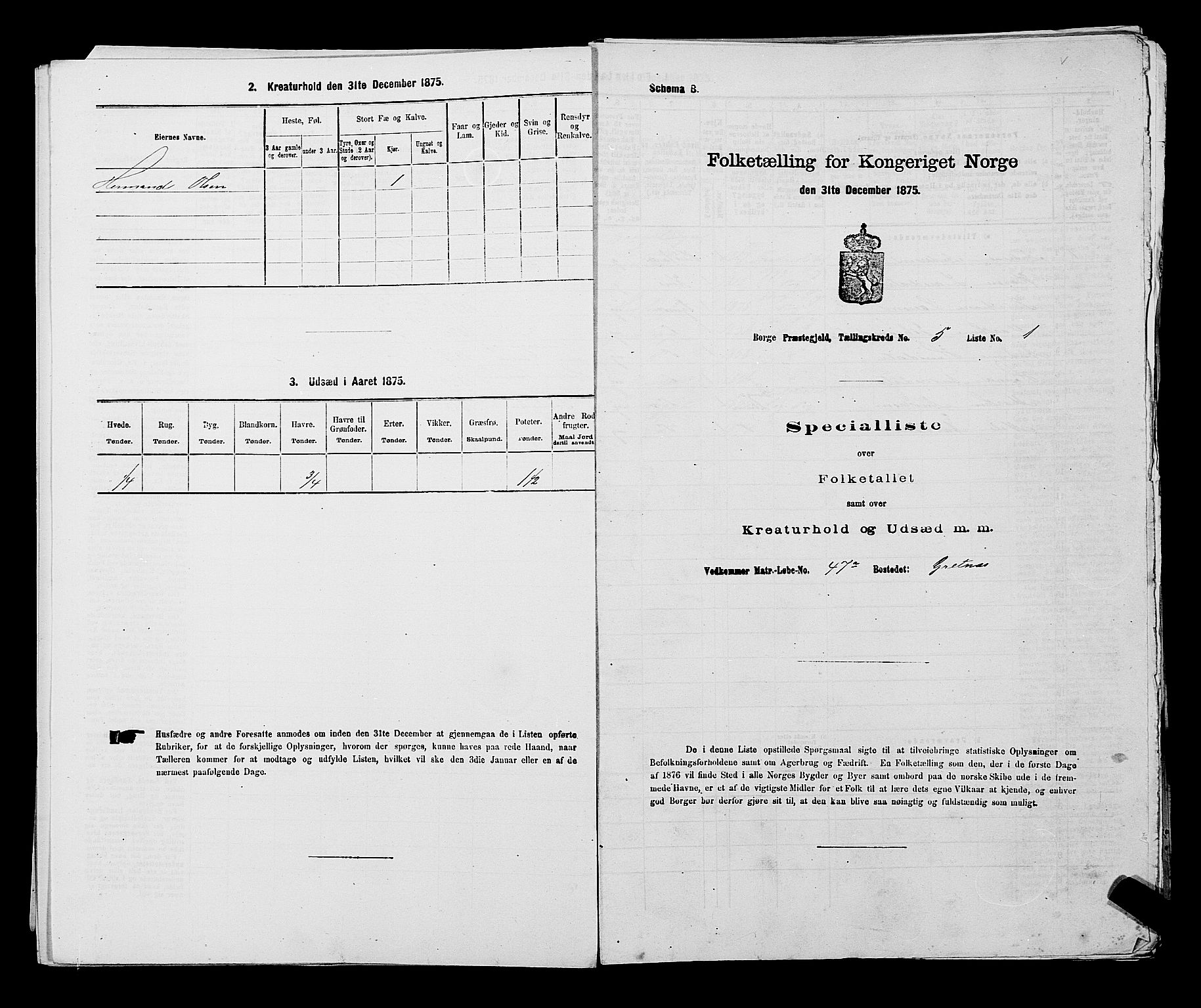 RA, 1875 census for 0113P Borge, 1875, p. 705