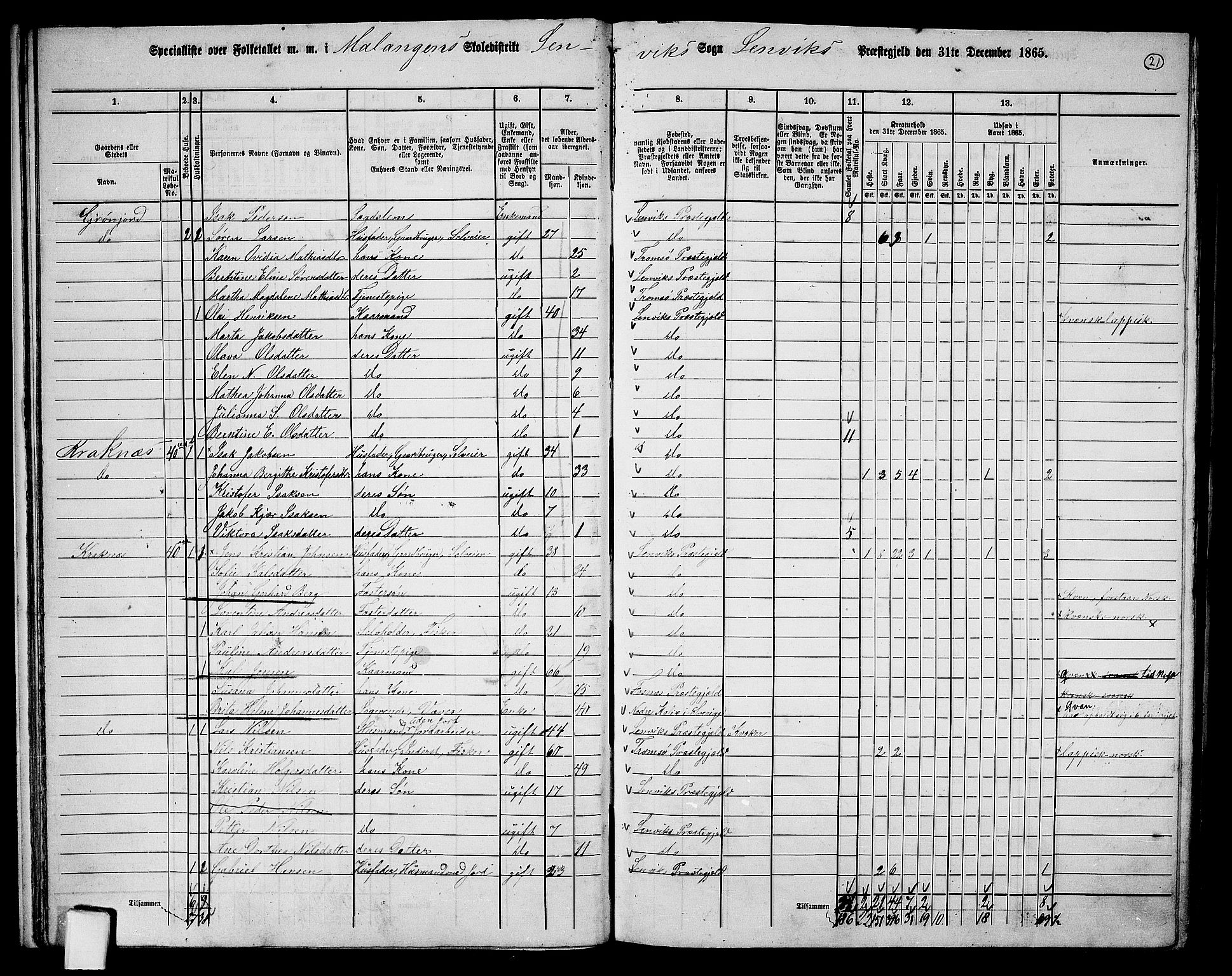 RA, 1865 census for Lenvik, 1865, p. 20