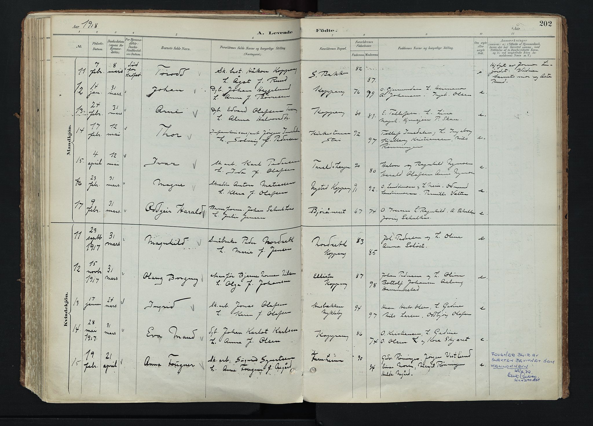 Stor-Elvdal prestekontor, AV/SAH-PREST-052/H/Ha/Haa/L0004: Parish register (official) no. 4, 1890-1922, p. 202