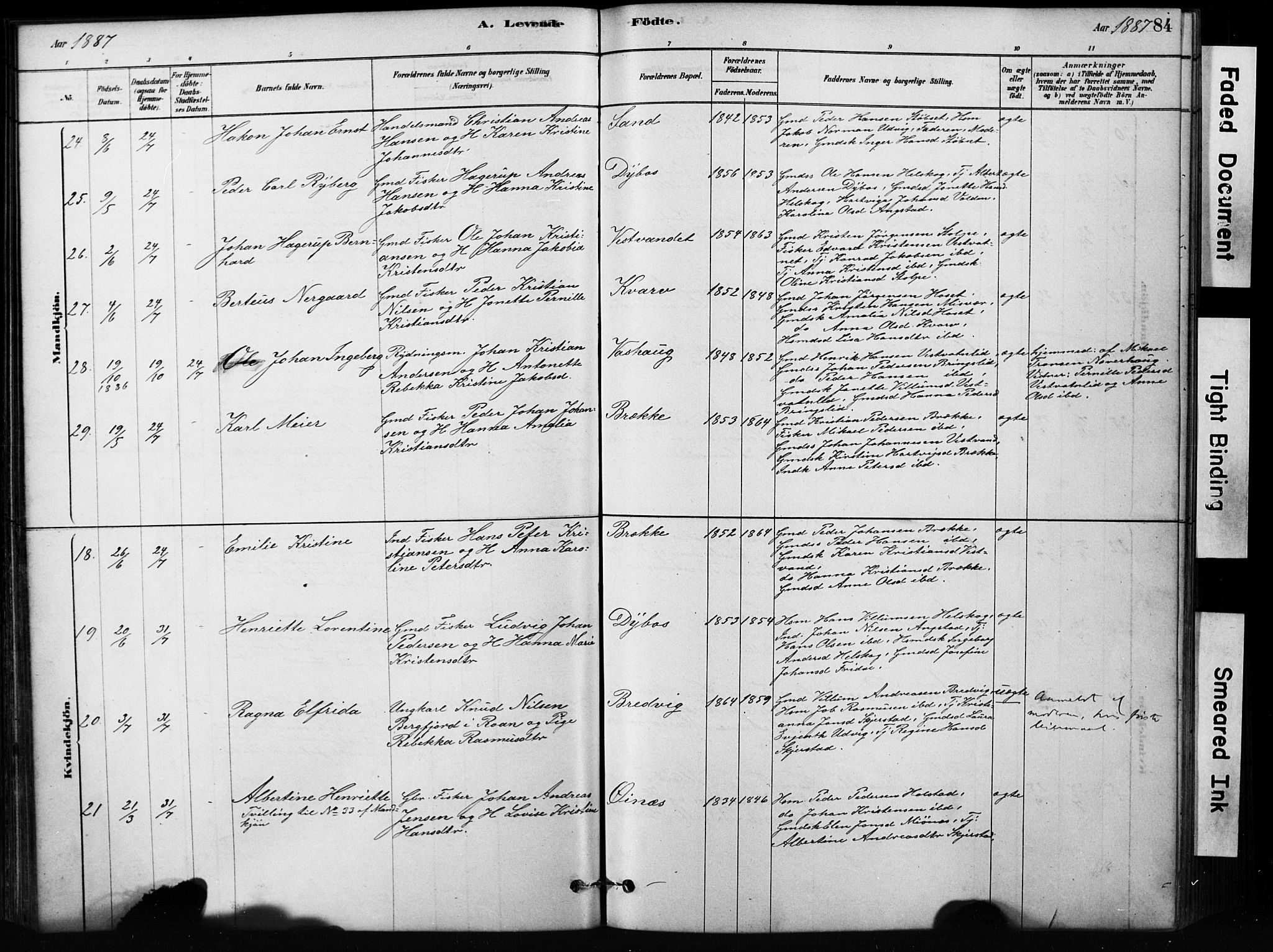 Ministerialprotokoller, klokkerbøker og fødselsregistre - Nordland, AV/SAT-A-1459/852/L0754: Parish register (copy) no. 852C05, 1878-1894, p. 84