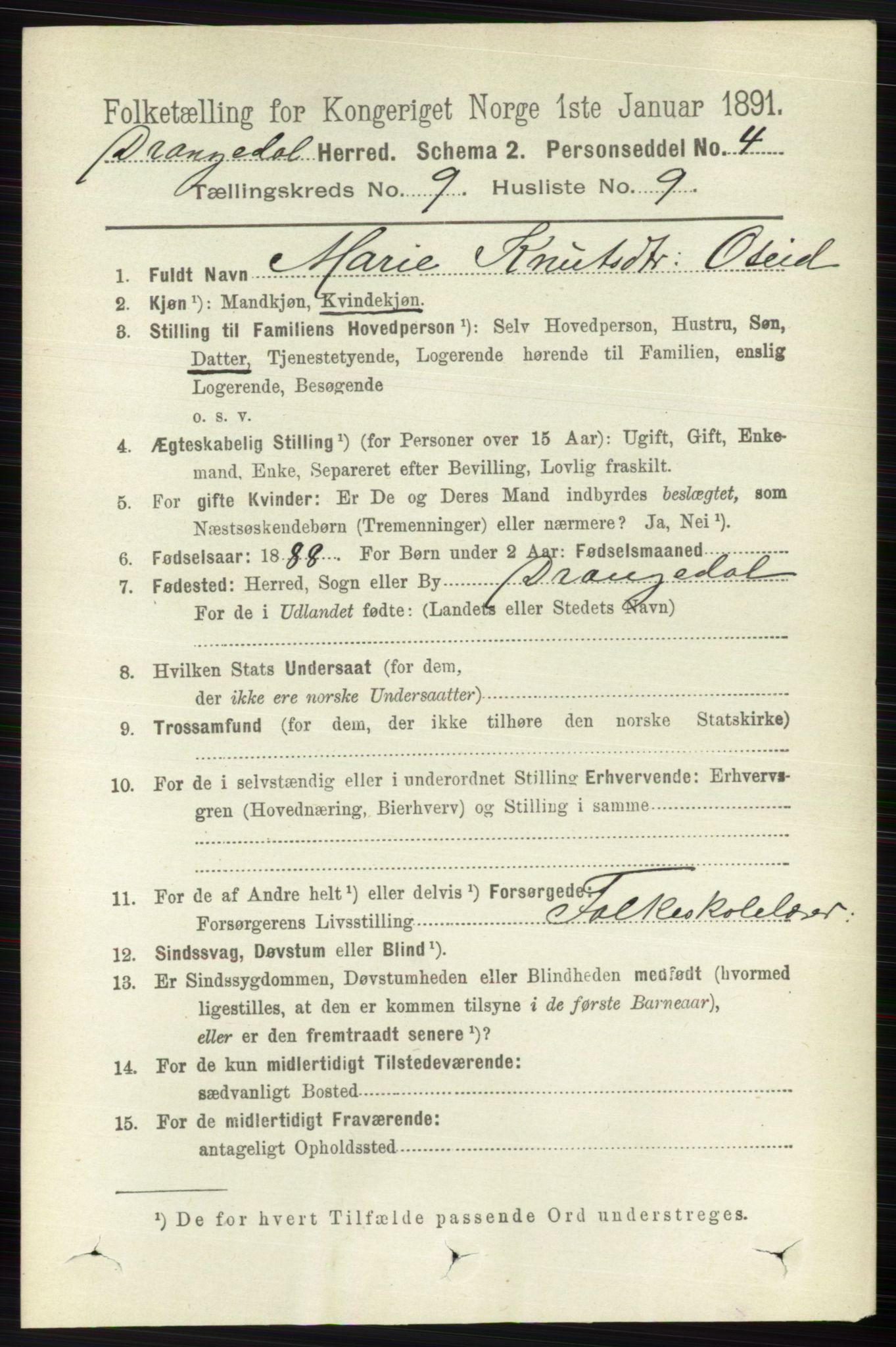 RA, 1891 census for 0817 Drangedal, 1891, p. 3176