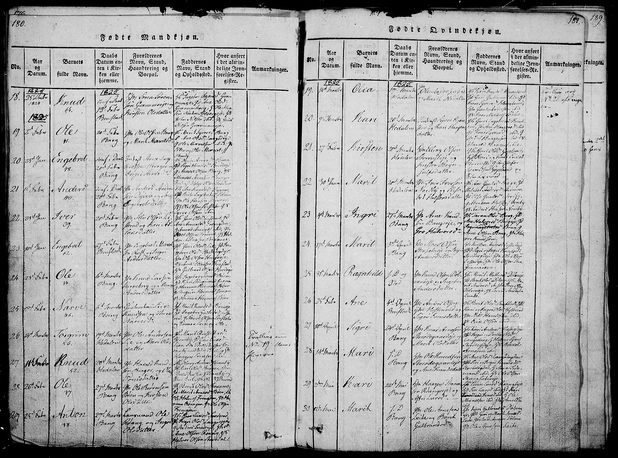 Sør-Aurdal prestekontor, SAH/PREST-128/H/Ha/Haa/L0002: Parish register (official) no. 2, 1815-1840, p. 180-181