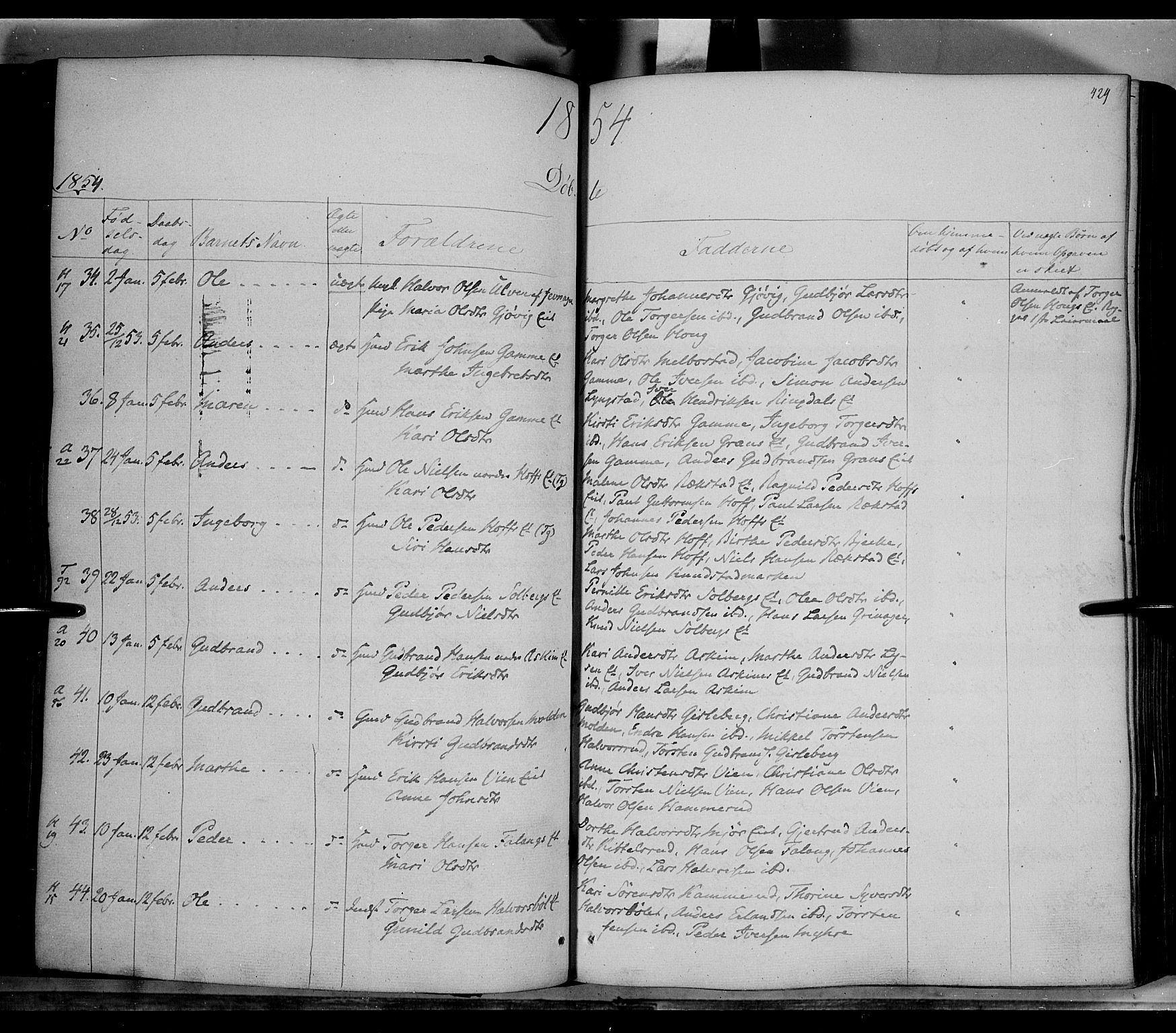 Gran prestekontor, AV/SAH-PREST-112/H/Ha/Haa/L0011: Parish register (official) no. 11, 1842-1856, p. 428-429