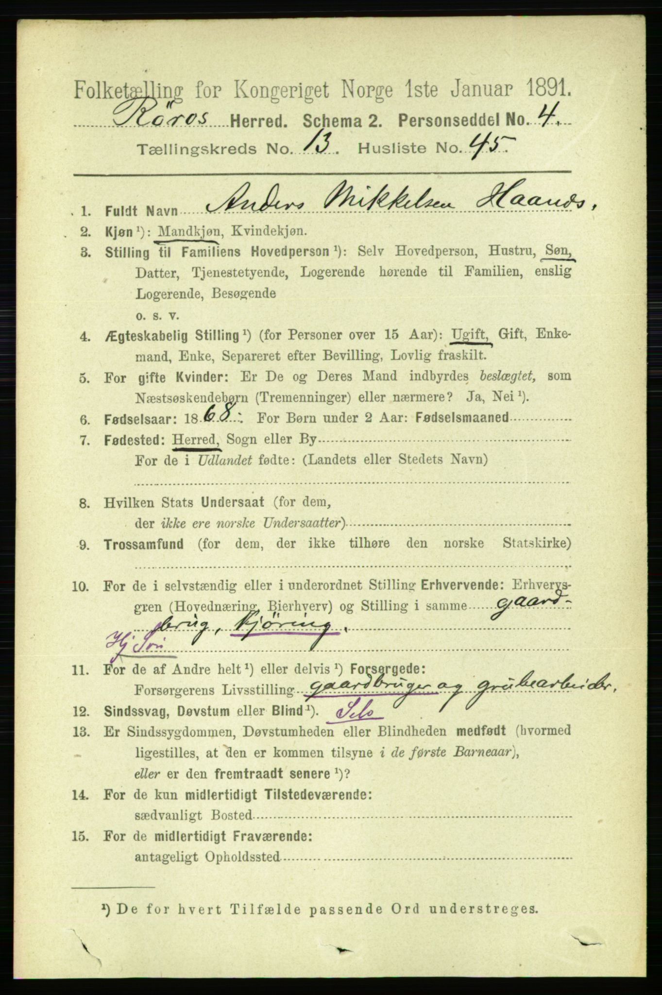 RA, 1891 census for 1640 Røros, 1891, p. 2793