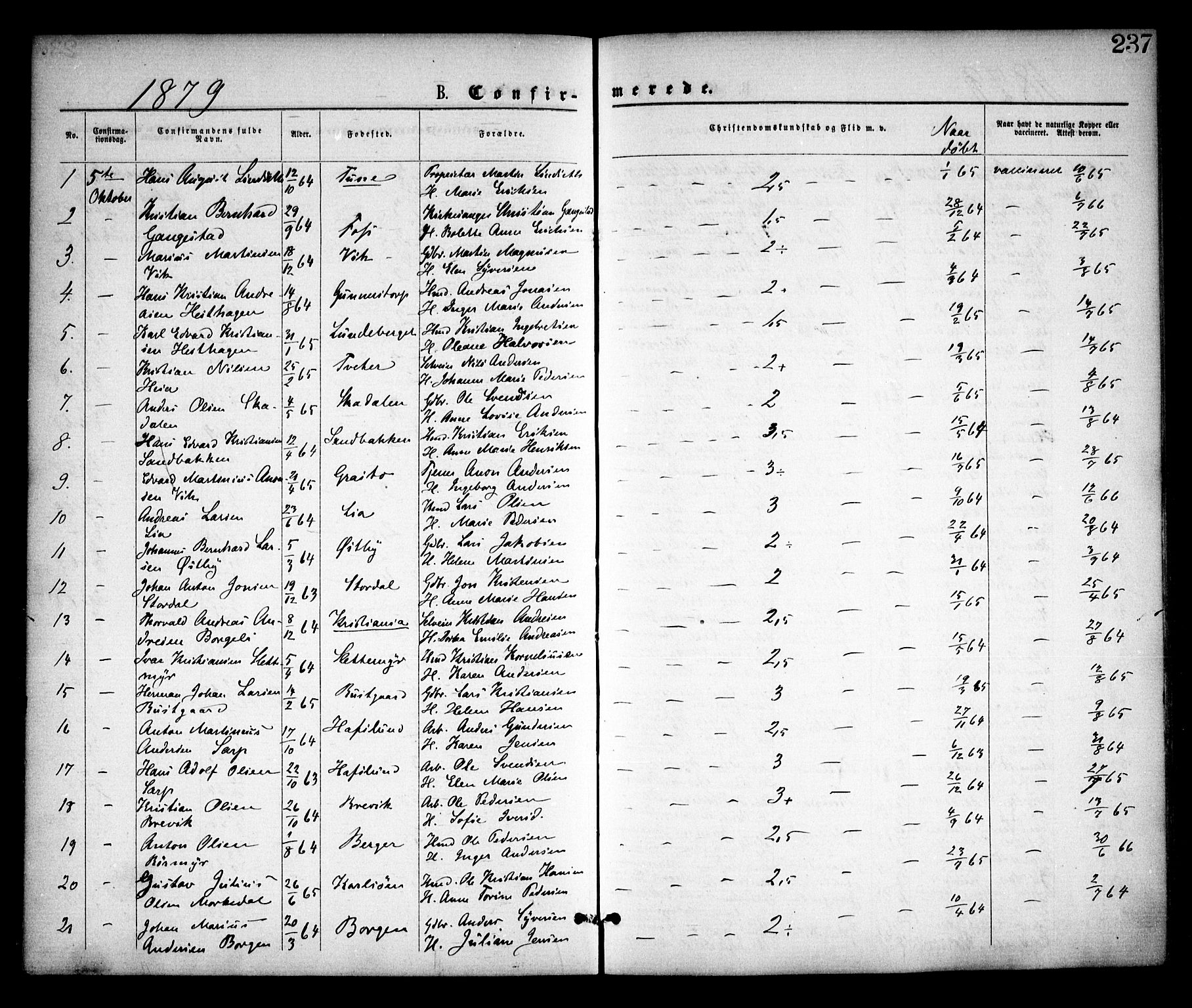 Skjeberg prestekontor Kirkebøker, SAO/A-10923/F/Fa/L0008: Parish register (official) no. I 8, 1869-1885, p. 237
