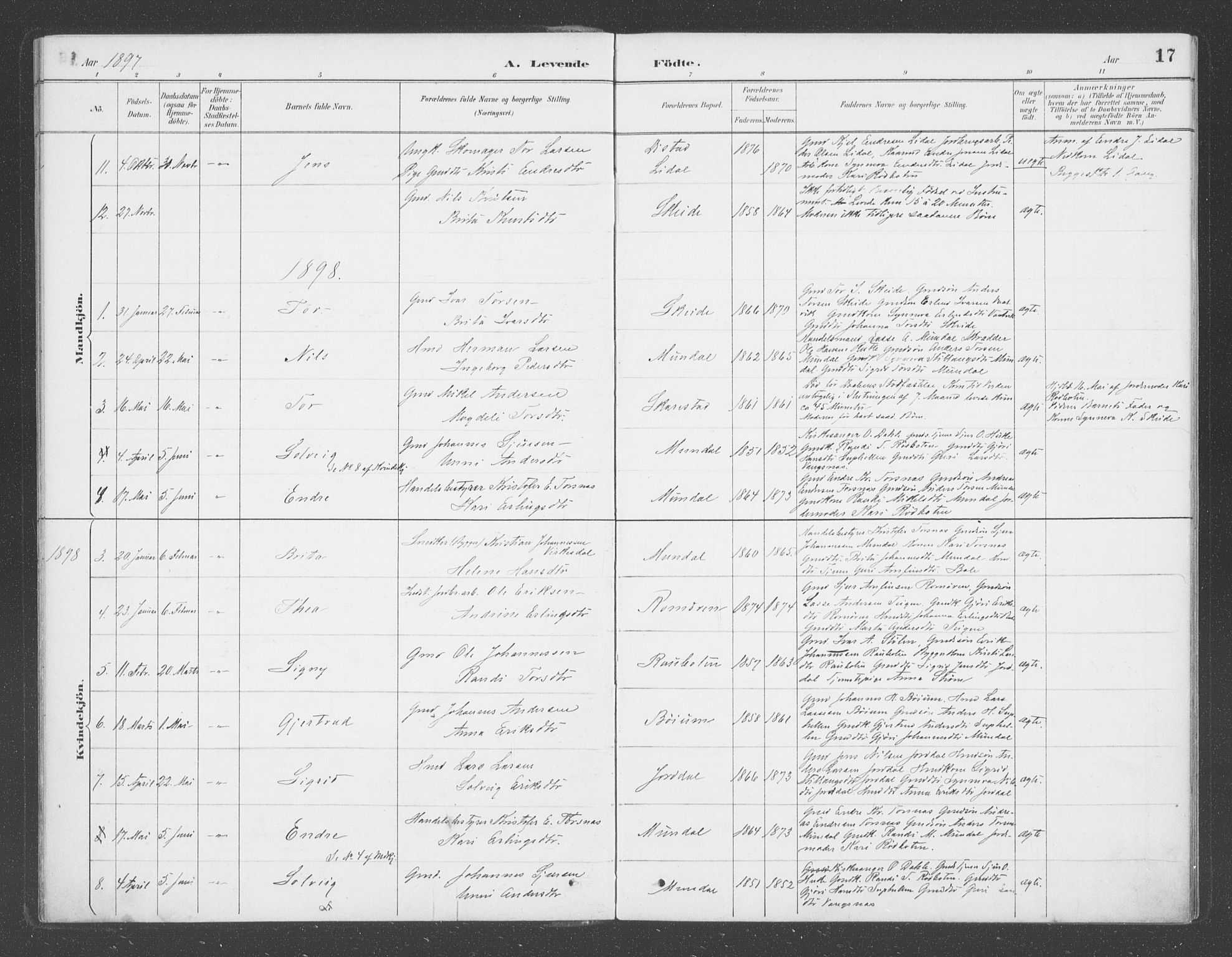 Balestrand sokneprestembete, AV/SAB-A-79601/H/Haa/Haac/L0001: Parish register (official) no. C  1, 1889-1909, p. 17