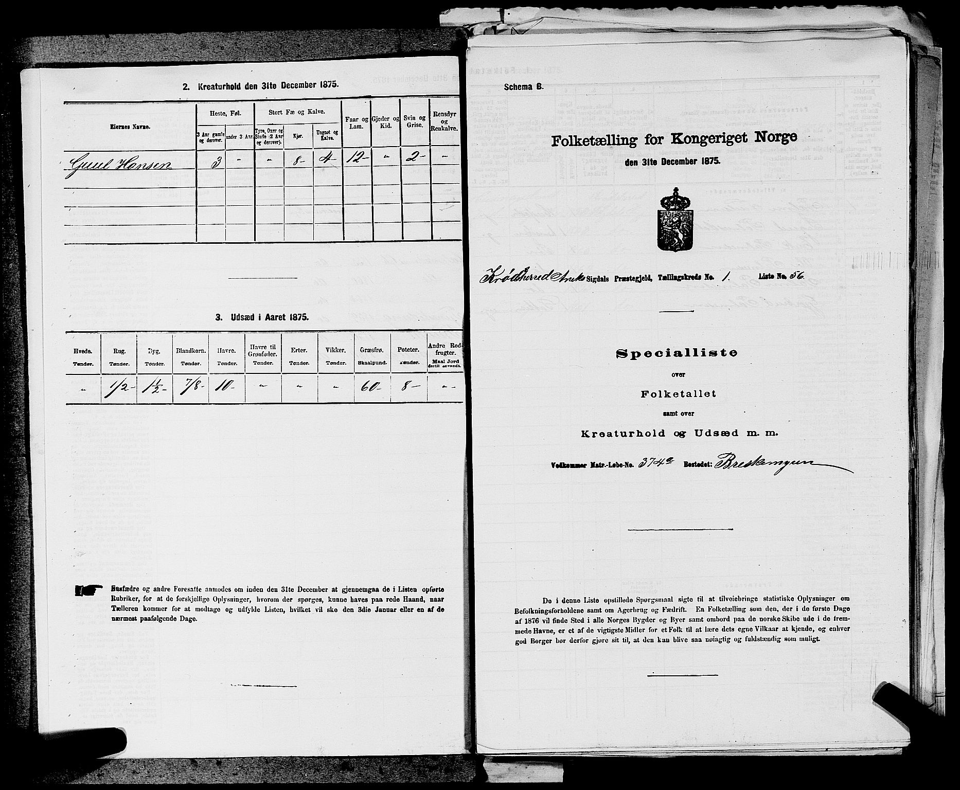 SAKO, 1875 census for 0621P Sigdal, 1875, p. 1162