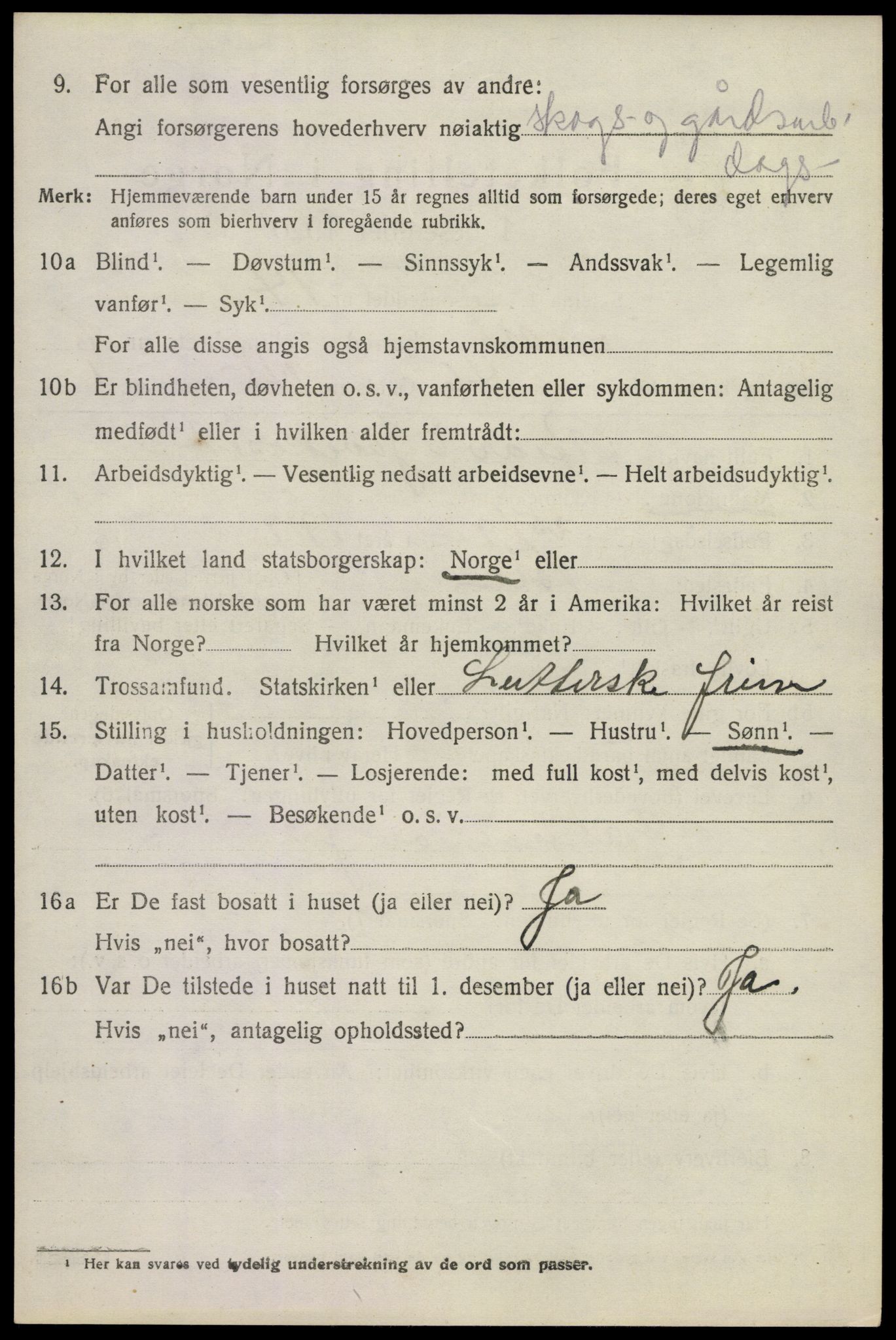 SAKO, 1920 census for Nore, 1920, p. 3045