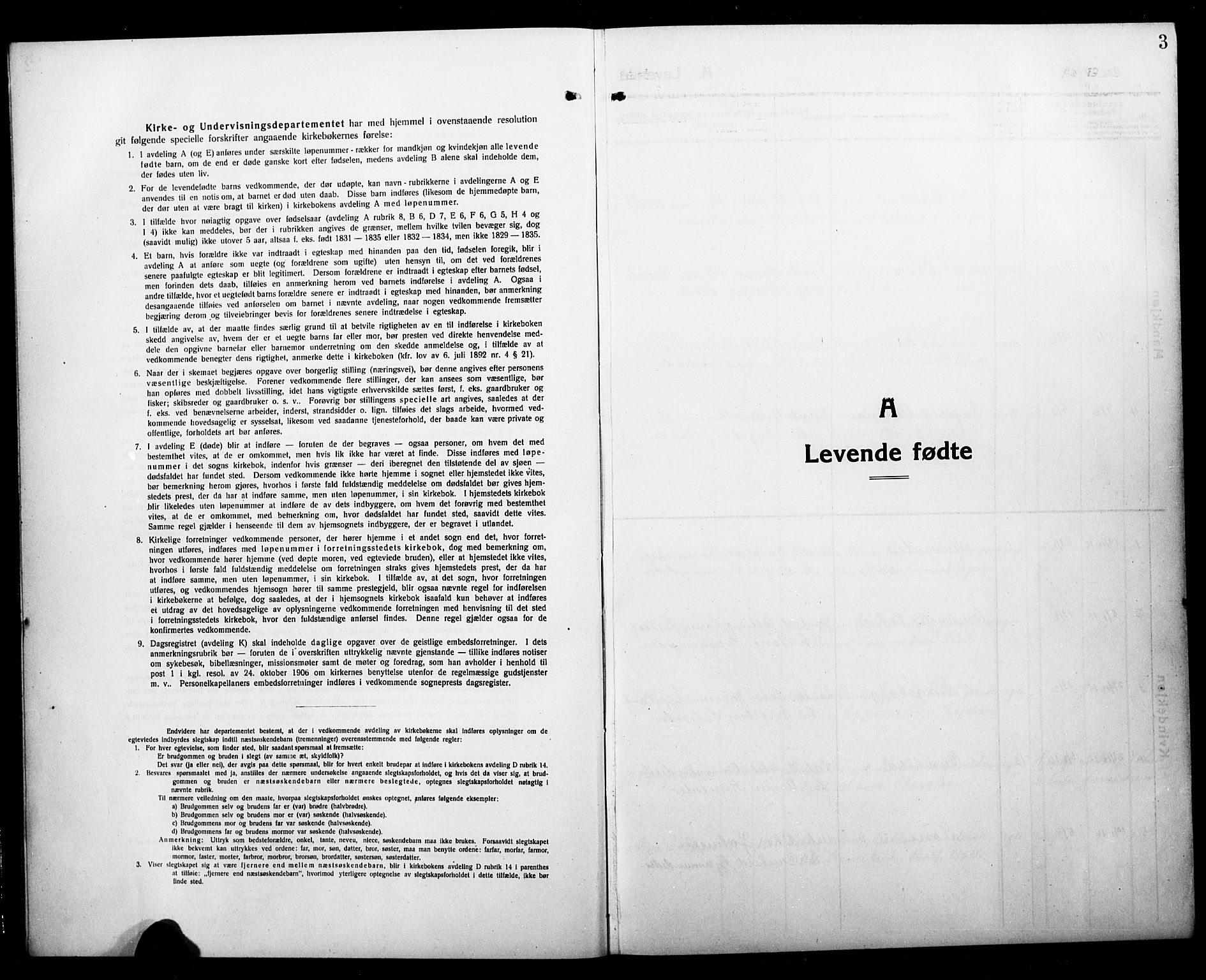 Åmli sokneprestkontor, SAK/1111-0050/F/Fb/Fbc/L0006: Parish register (copy) no. B 6, 1915-1929, p. 3