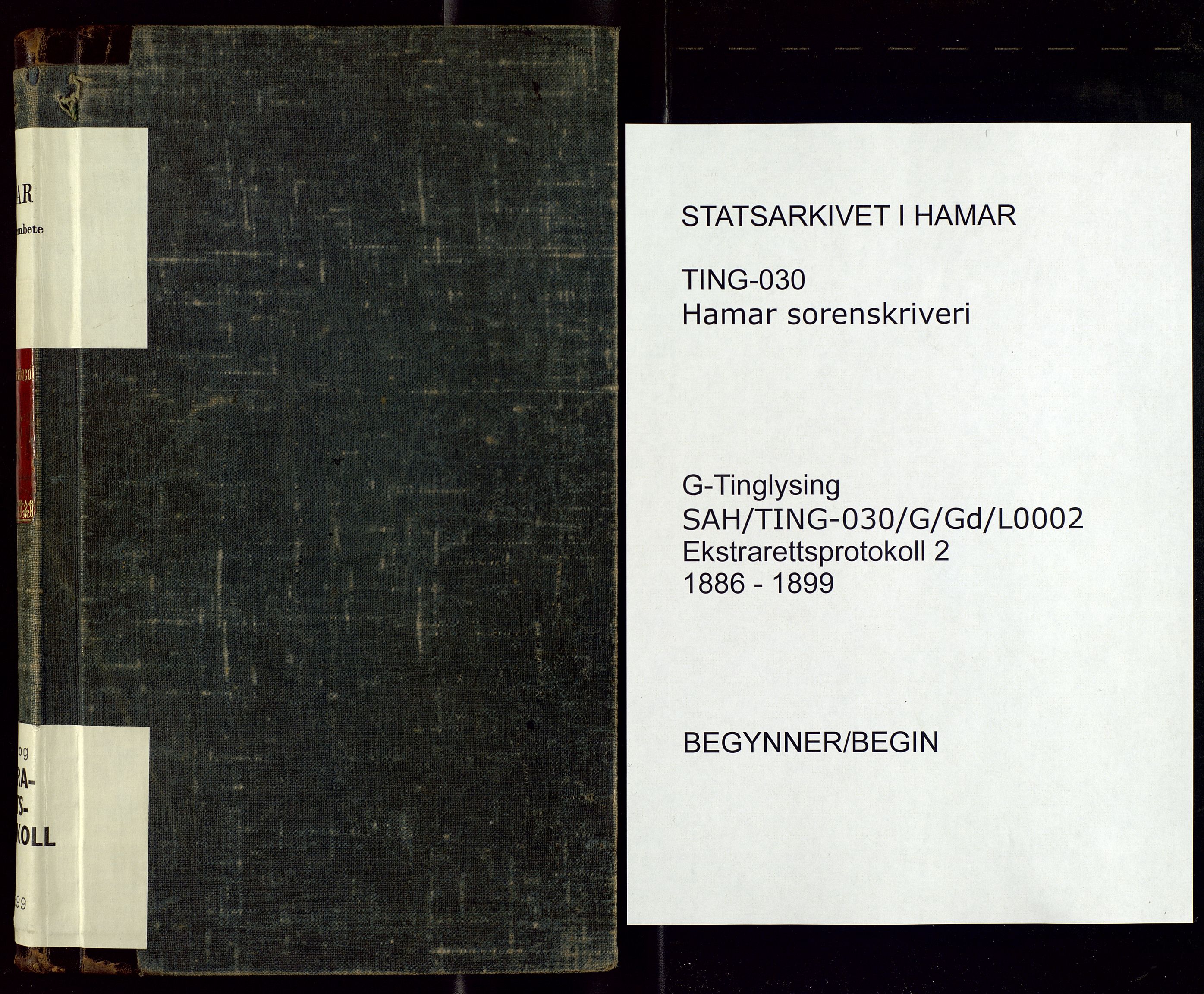 Hamar sorenskriveri, SAH/TING-030/G/Gd/L0002: Åsteds- og ekstrarettsprotokoll, 1886-1899
