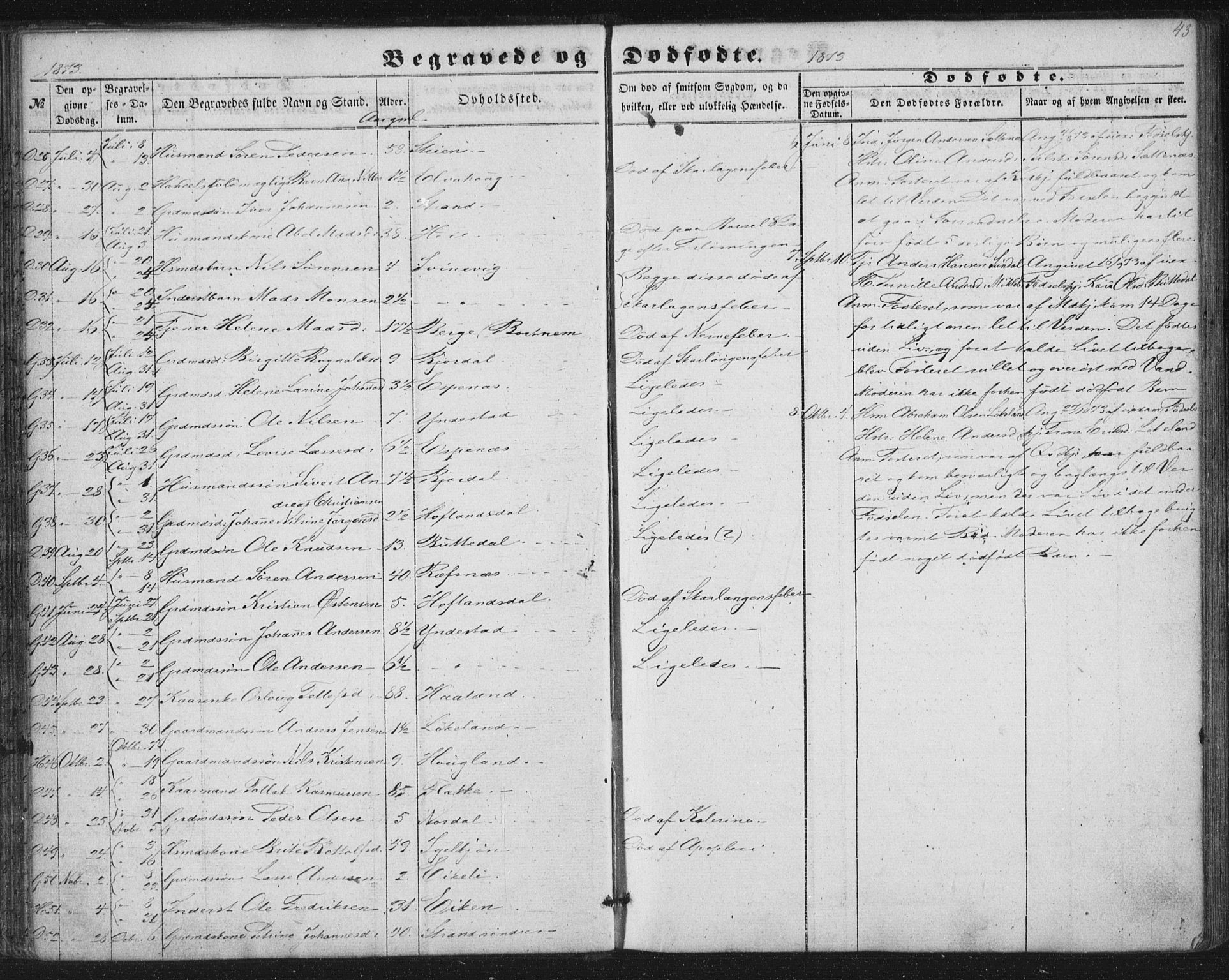 Fjaler sokneprestembete, AV/SAB-A-79801/H/Haa/Haaa/L0012: Parish register (official) no. A 12, 1854-1887, p. 43