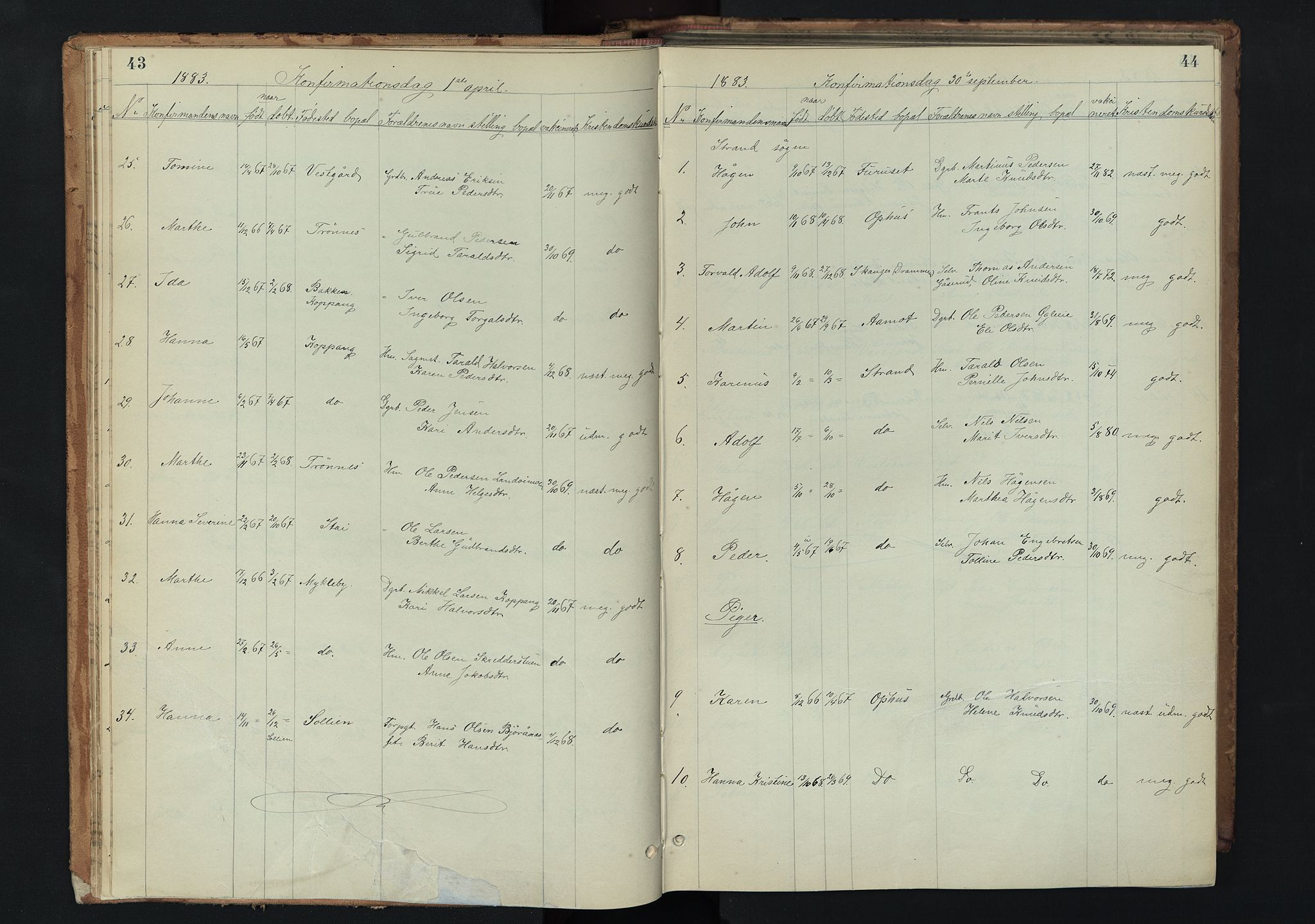 Stor-Elvdal prestekontor, SAH/PREST-052/H/Ha/Hab/L0002: Parish register (copy) no. 2, 1860-1894, p. 43-44