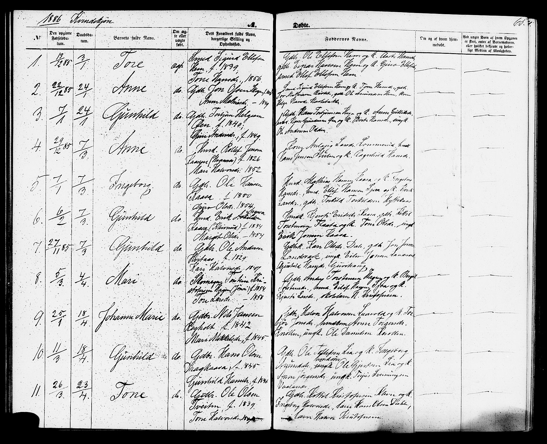Sauherad kirkebøker, SAKO/A-298/F/Fa/L0008: Parish register (official) no. I 8, 1873-1886, p. 65