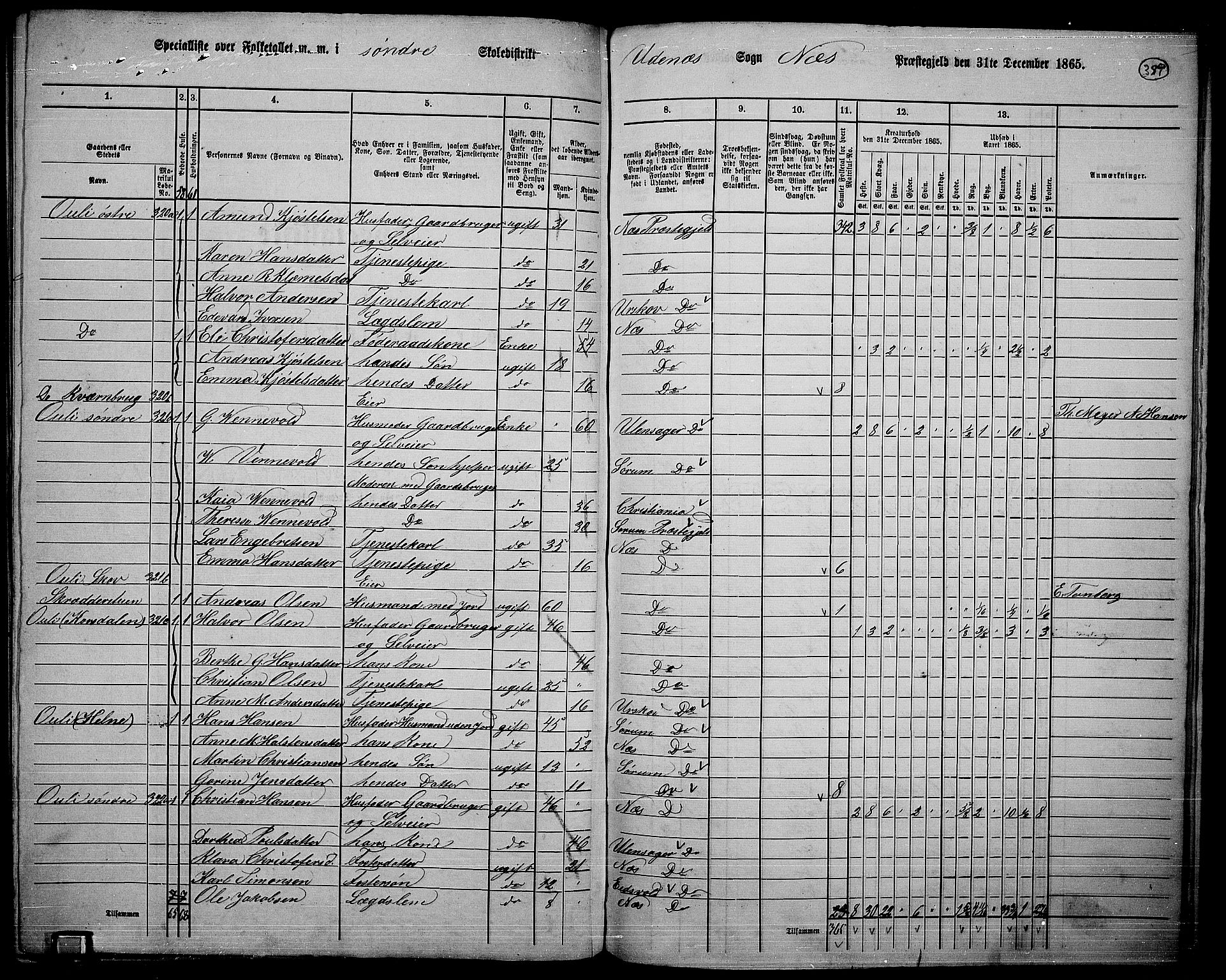 RA, 1865 census for Nes, 1865, p. 355