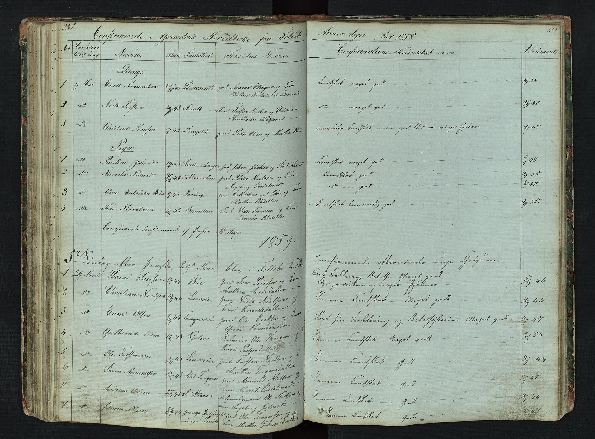 Gausdal prestekontor, SAH/PREST-090/H/Ha/Hab/L0006: Parish register (copy) no. 6, 1846-1893, p. 232-233