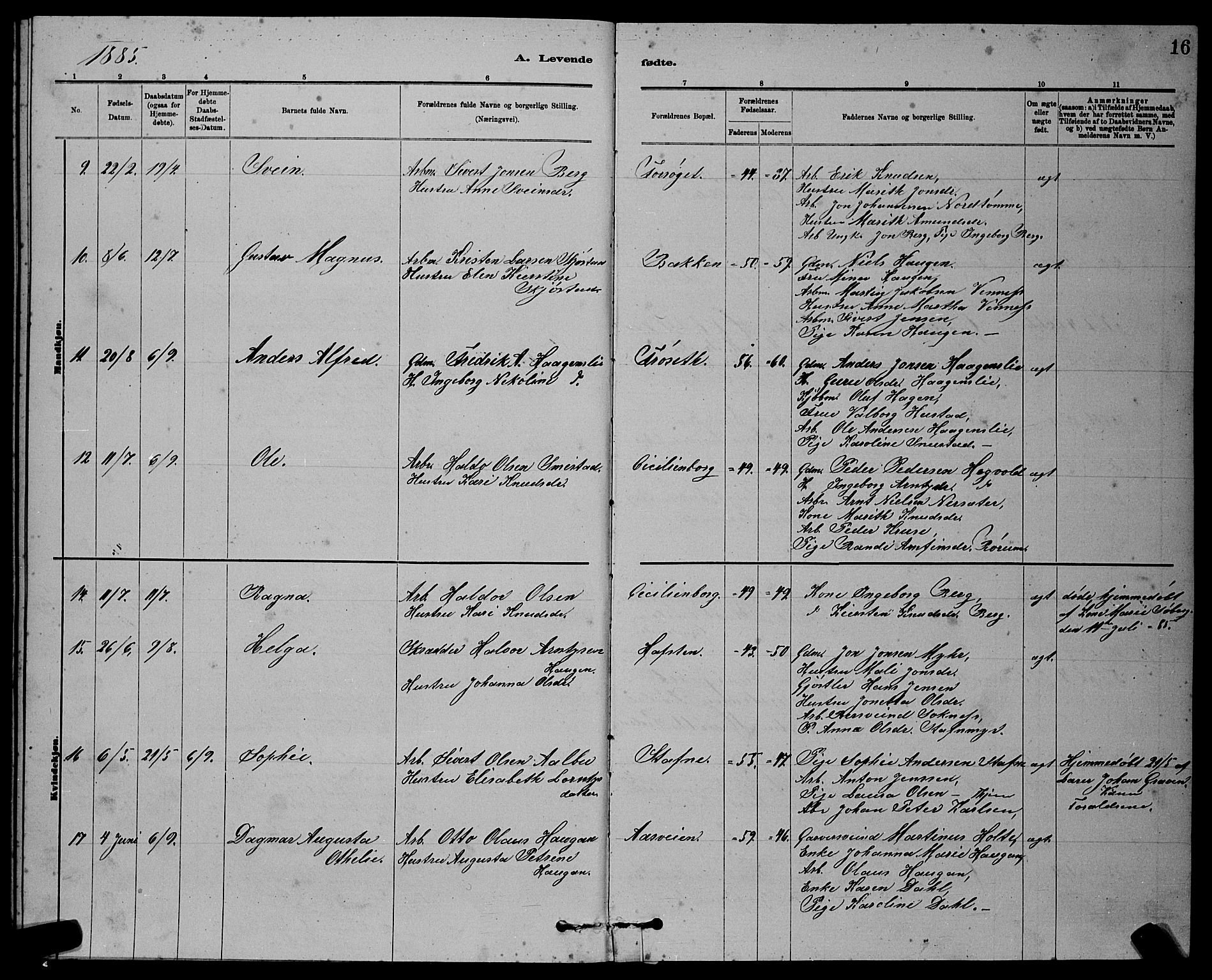 Ministerialprotokoller, klokkerbøker og fødselsregistre - Sør-Trøndelag, SAT/A-1456/611/L0354: Parish register (copy) no. 611C02, 1881-1896, p. 16