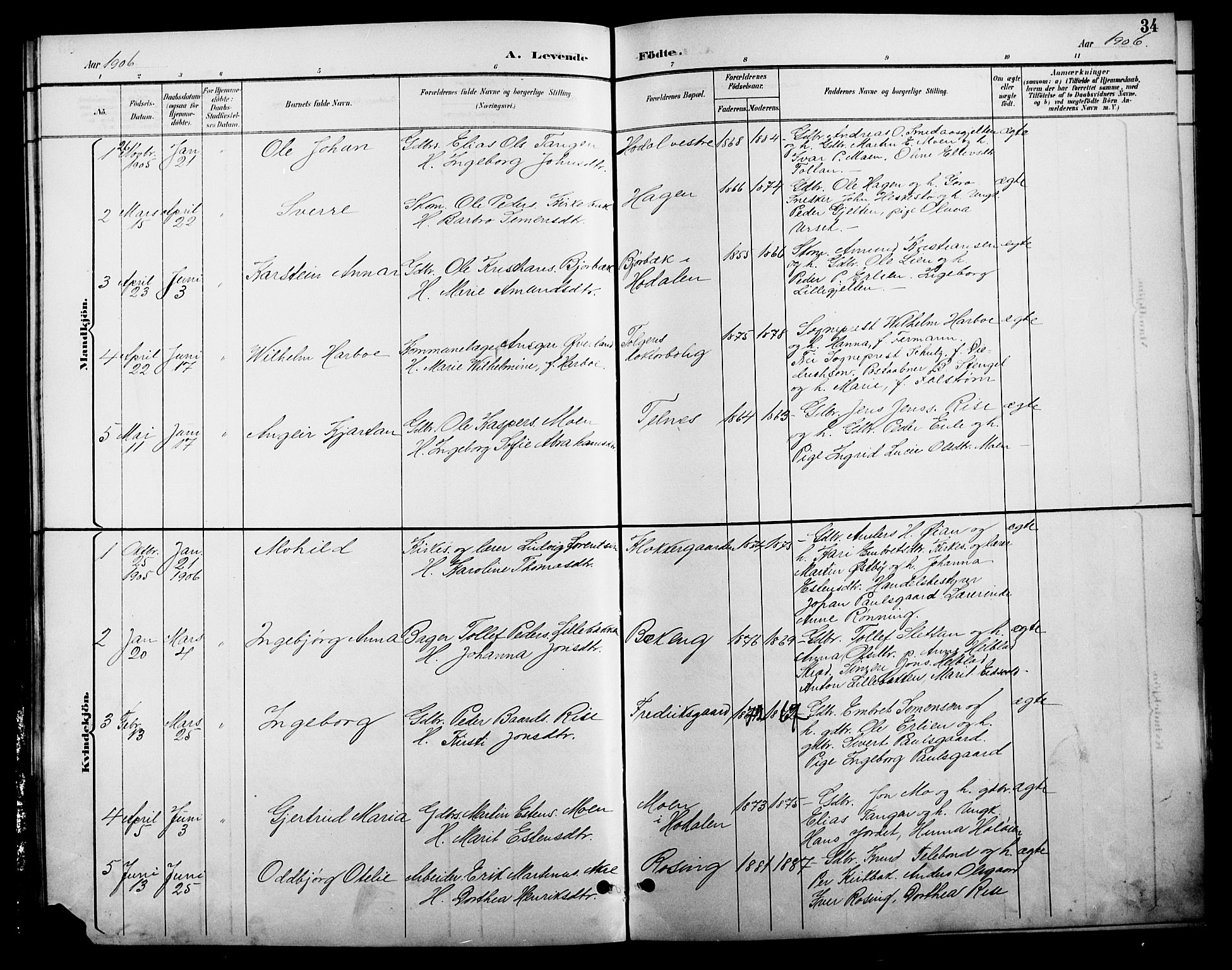 Tolga prestekontor, AV/SAH-PREST-062/L/L0009: Parish register (copy) no. 9, 1892-1919, p. 34