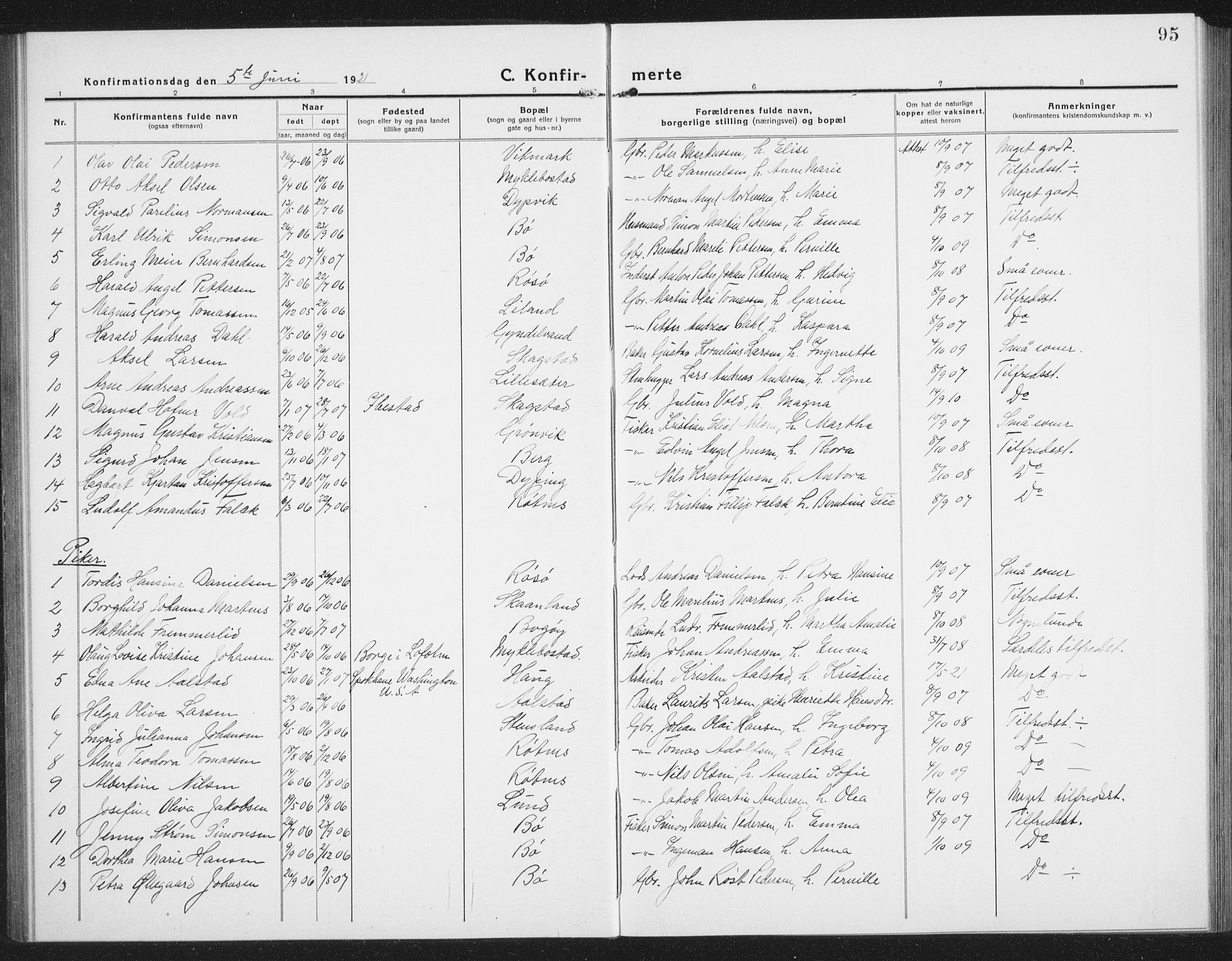 Ministerialprotokoller, klokkerbøker og fødselsregistre - Nordland, SAT/A-1459/855/L0817: Parish register (copy) no. 855C06, 1917-1934, p. 95