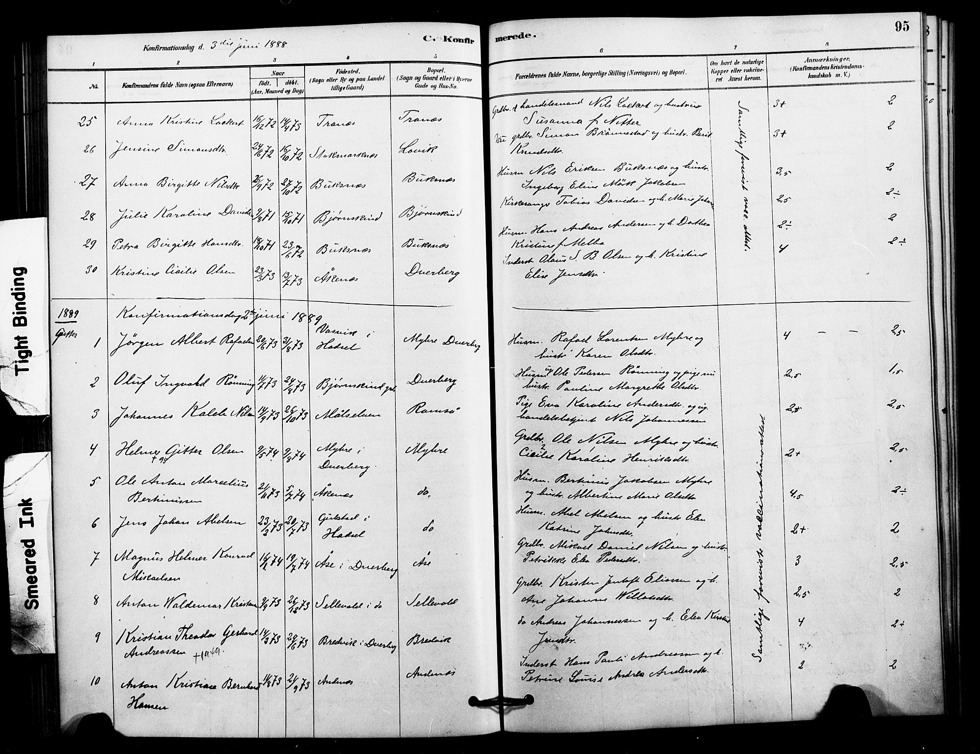 Ministerialprotokoller, klokkerbøker og fødselsregistre - Nordland, AV/SAT-A-1459/897/L1399: Parish register (official) no. 897C06, 1881-1896, p. 95