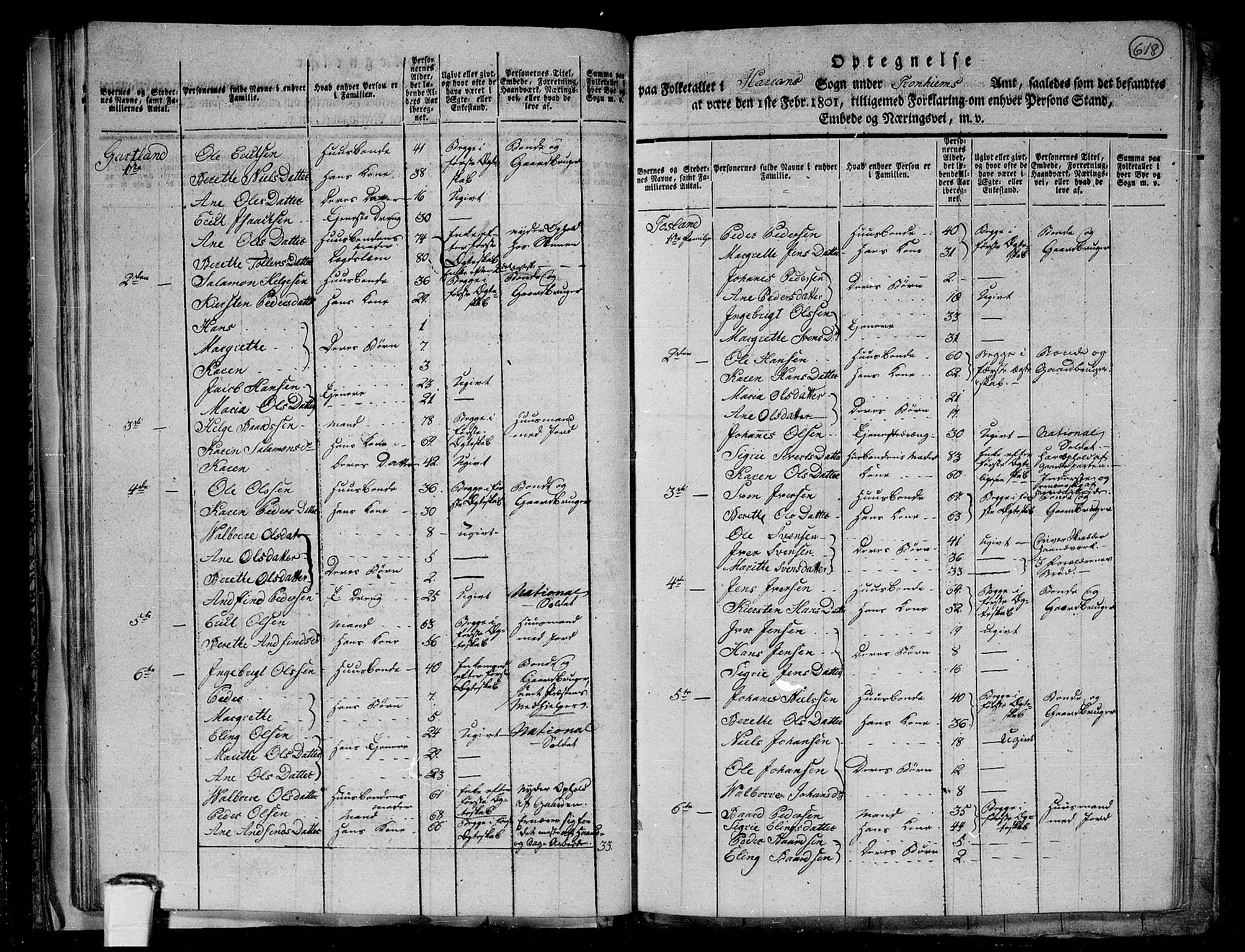 RA, 1801 census for 1744P Overhalla, 1801, p. 617b-618a