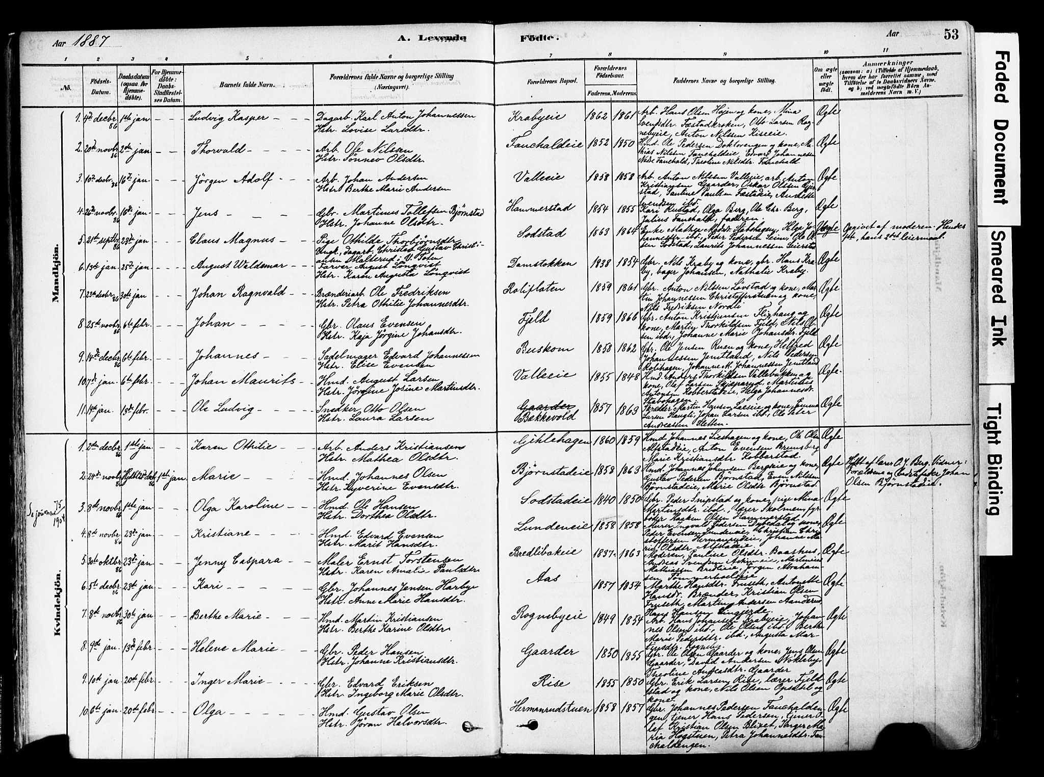 Østre Toten prestekontor, AV/SAH-PREST-104/H/Ha/Haa/L0006: Parish register (official) no. 6 /1, 1878-1896, p. 53