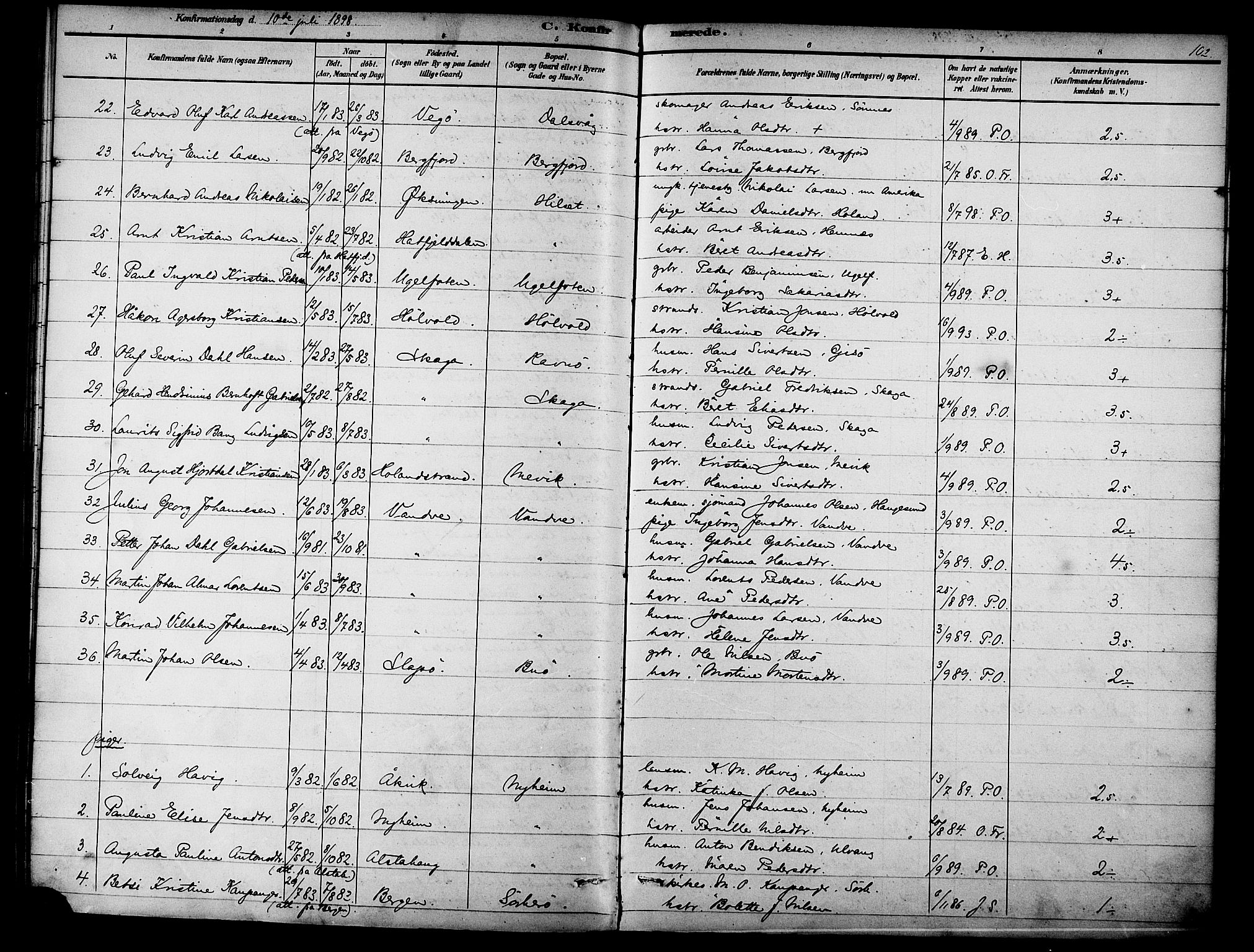 Ministerialprotokoller, klokkerbøker og fødselsregistre - Nordland, AV/SAT-A-1459/834/L0508: Parish register (official) no. 834A06, 1892-1901, p. 102