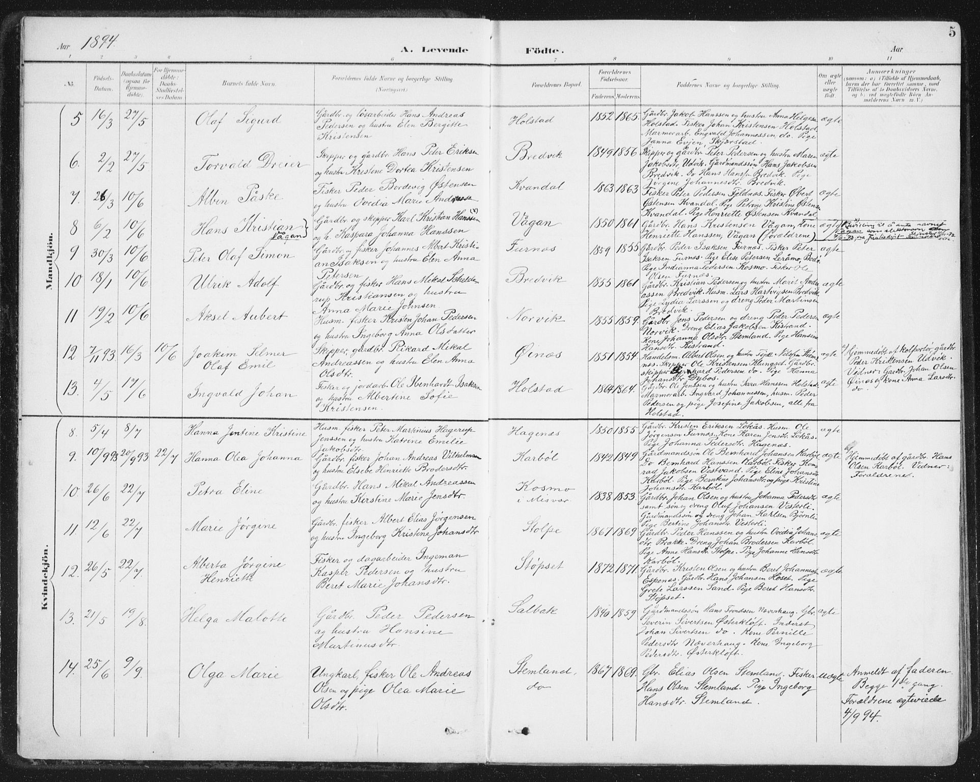 Ministerialprotokoller, klokkerbøker og fødselsregistre - Nordland, AV/SAT-A-1459/852/L0741: Parish register (official) no. 852A11, 1894-1917, p. 5