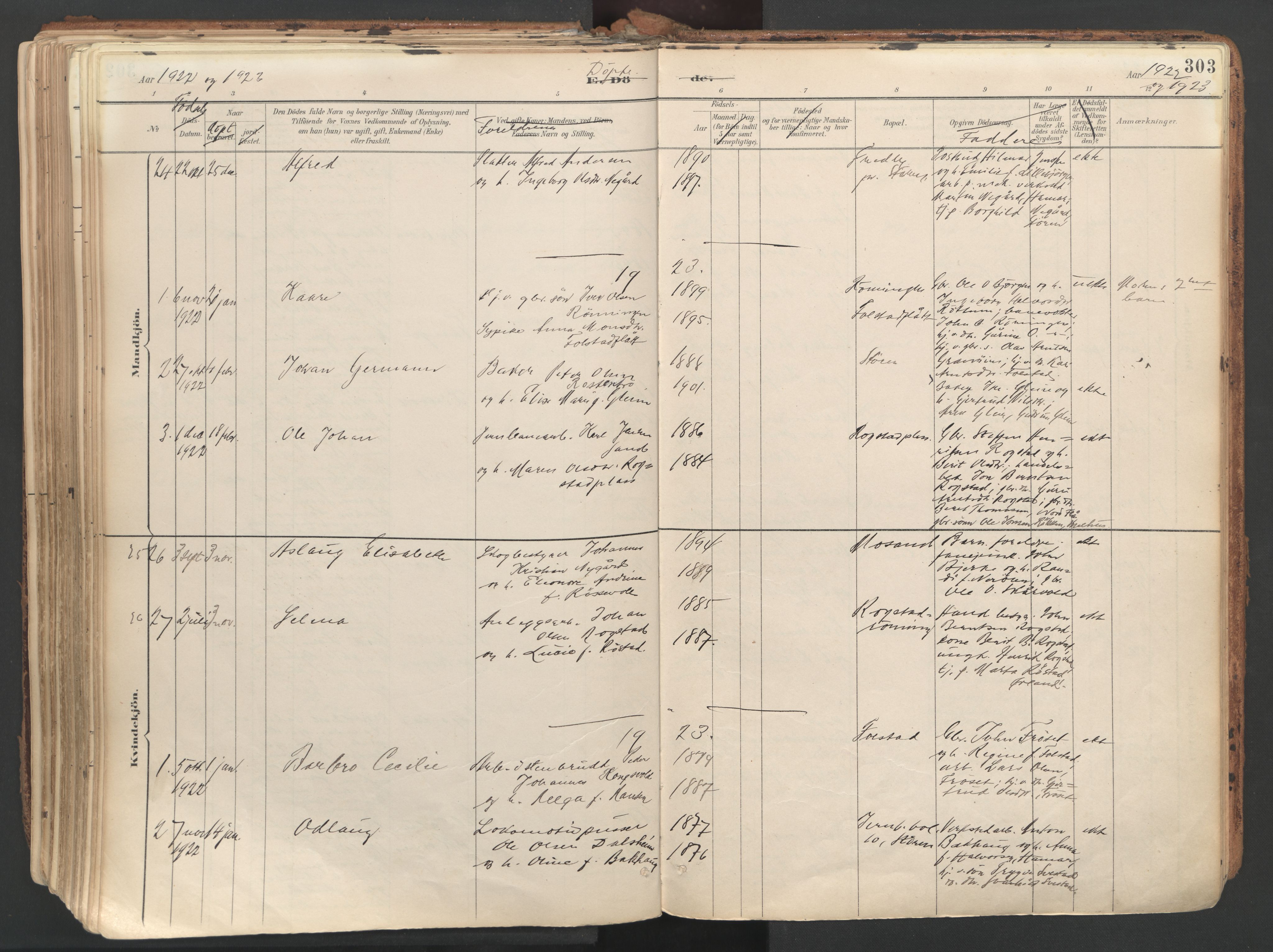 Ministerialprotokoller, klokkerbøker og fødselsregistre - Sør-Trøndelag, SAT/A-1456/687/L1004: Parish register (official) no. 687A10, 1891-1923, p. 303