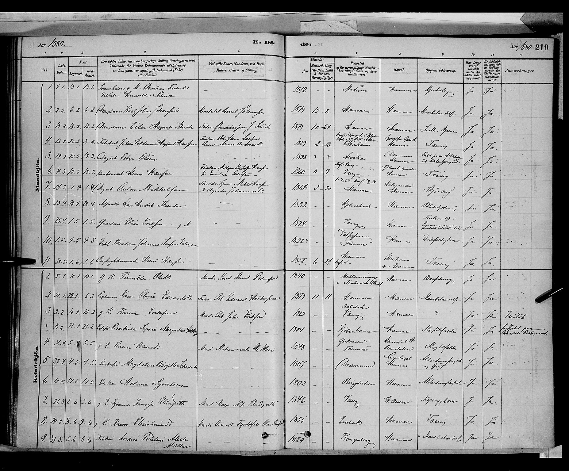 Vang prestekontor, Hedmark, AV/SAH-PREST-008/H/Ha/Haa/L0016: Parish register (official) no. 16, 1878-1889, p. 219