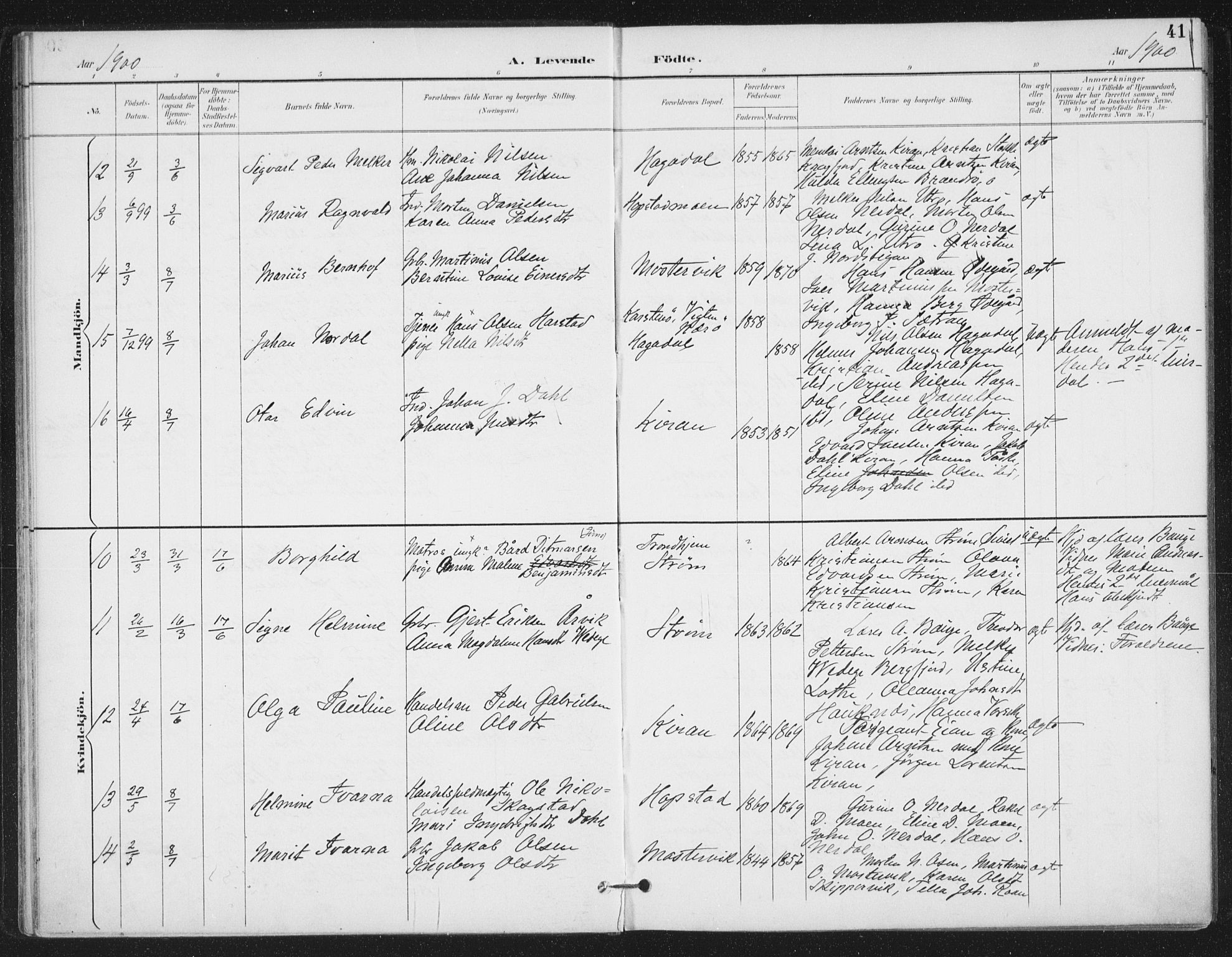 Ministerialprotokoller, klokkerbøker og fødselsregistre - Sør-Trøndelag, AV/SAT-A-1456/657/L0708: Parish register (official) no. 657A09, 1894-1904, p. 41