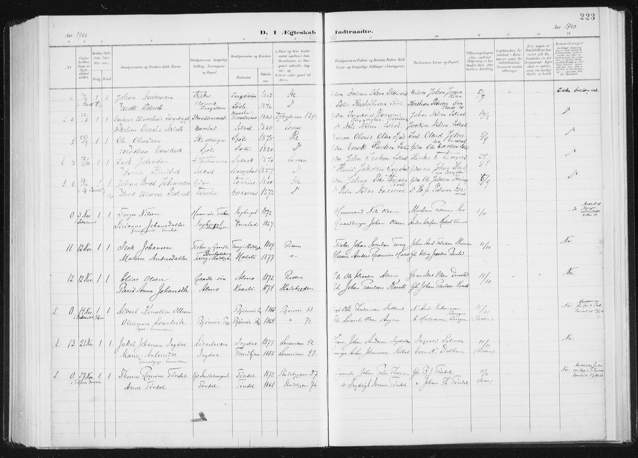 Ministerialprotokoller, klokkerbøker og fødselsregistre - Sør-Trøndelag, AV/SAT-A-1456/647/L0635: Parish register (official) no. 647A02, 1896-1911, p. 223