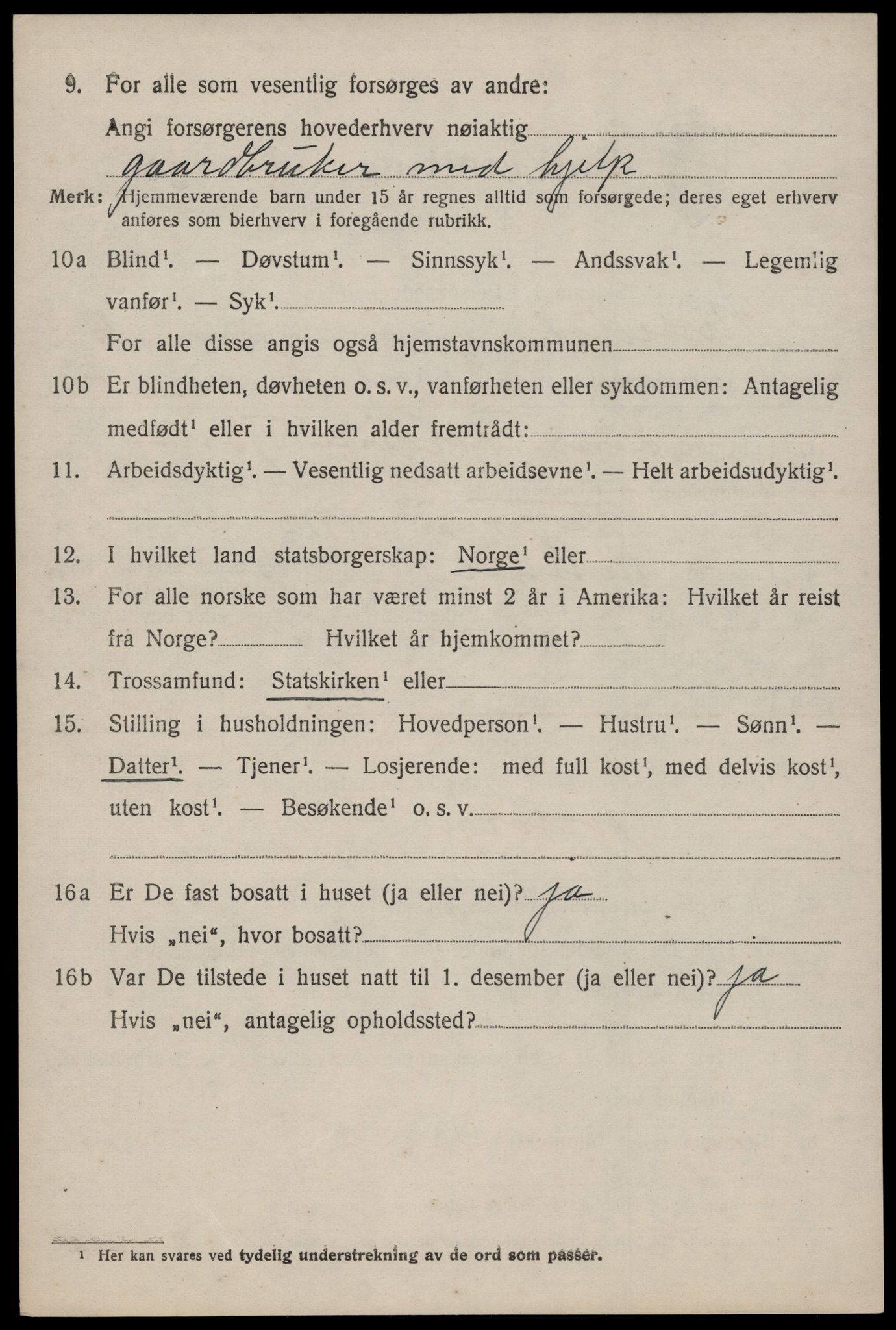 SAKO, 1920 census for Nissedal, 1920, p. 2006