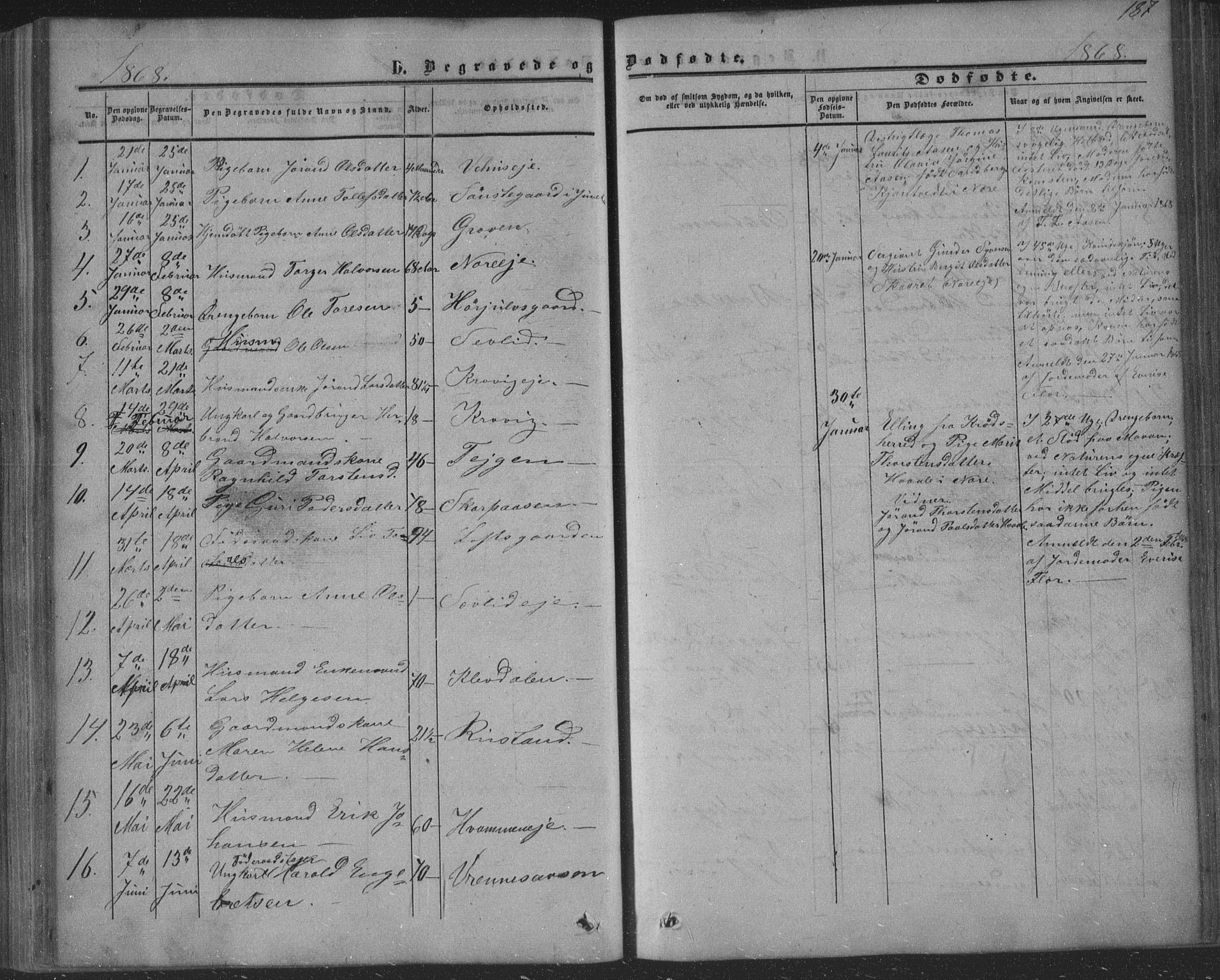 Nore kirkebøker, AV/SAKO-A-238/F/Fa/L0002: Parish register (official) no. I 2, 1856-1871, p. 187